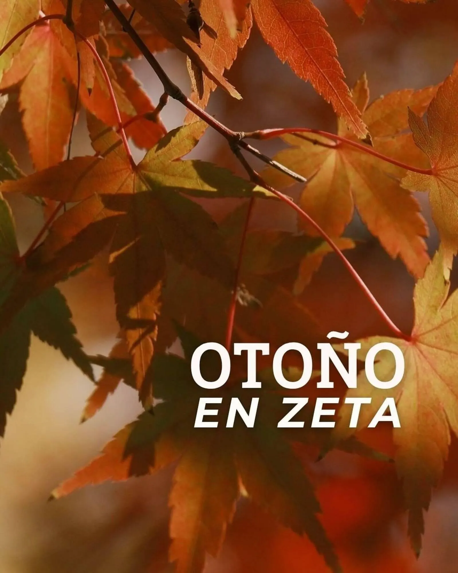 Ofertas de Catálogo Supermercados Zeta 1 de septiembre al 30 de noviembre 2026 - Página 1 del catálogo