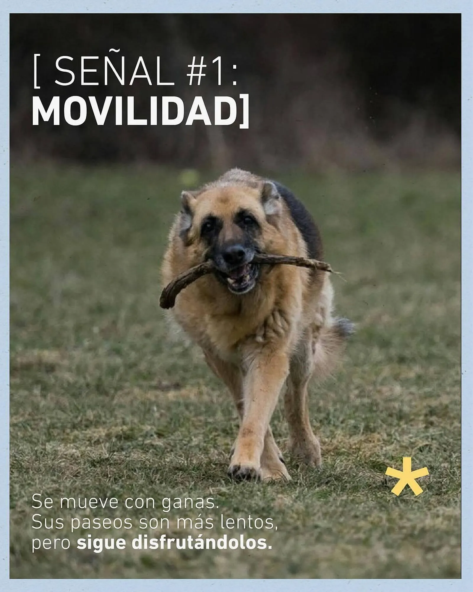 Ofertas de Catálogo Puppis 11 de junio al 15 de junio 2025 - Página 2 del catálogo