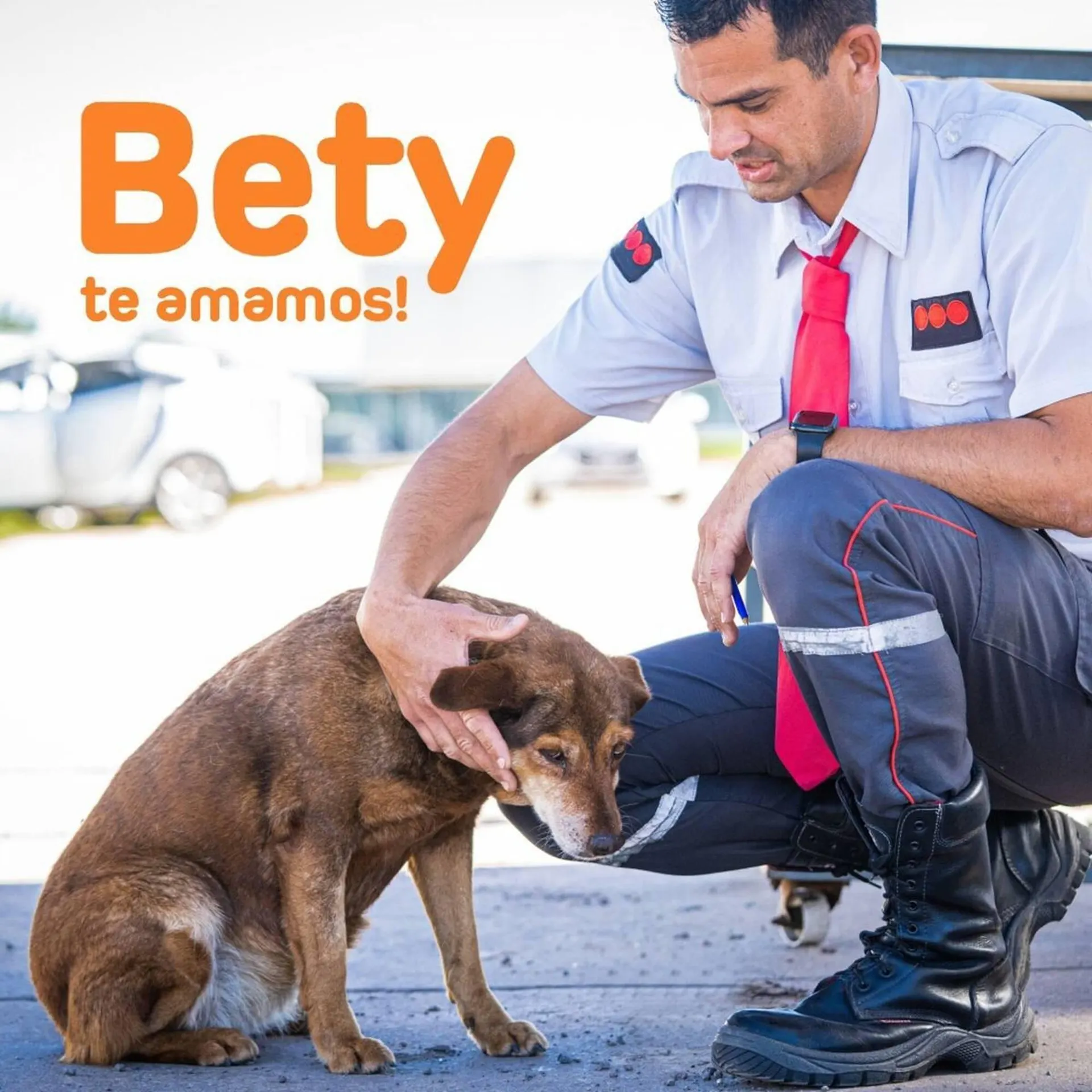 Ofertas de Catálogo Alvear 4 de diciembre al 6 de diciembre 2023 - Página 1 del catálogo