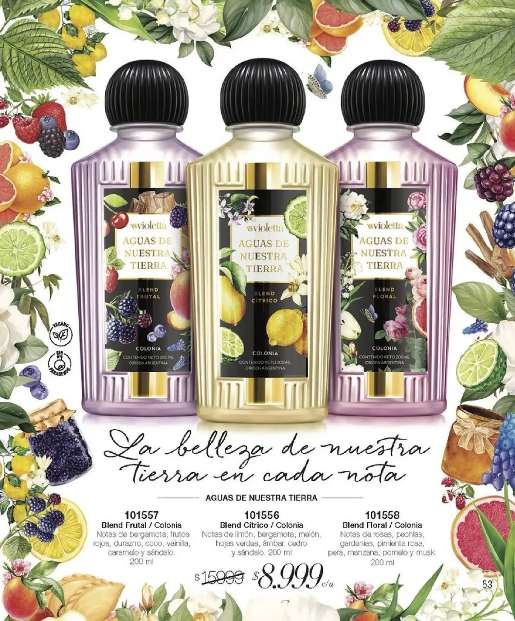 Ofertas de Catálogo Violetta Cosméticos 1 de enero al 31 de enero 2026 - Página 53 del catálogo