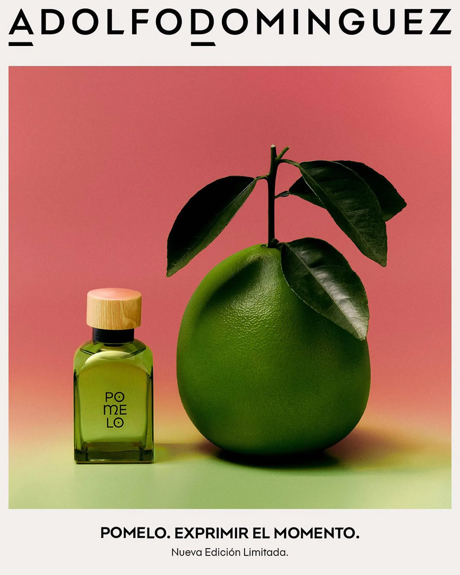 Ofertas de Catálogo Pigmento 13 de noviembre al 20 de noviembre 2025 - Página 2 del catálogo