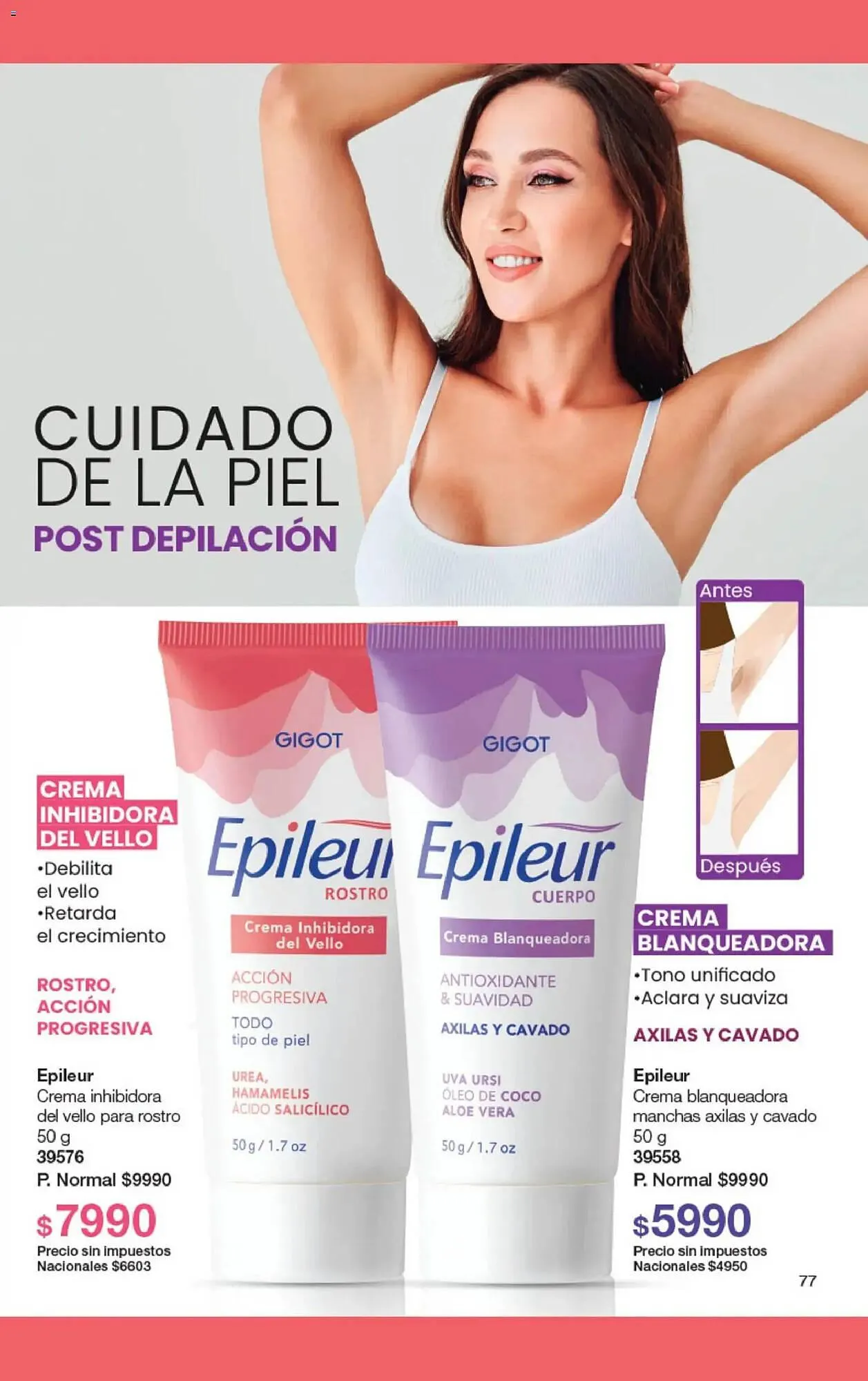 Ofertas de Folleto Gigot 1 de febrero al 1 de marzo 2026 - Página 99 del catálogo