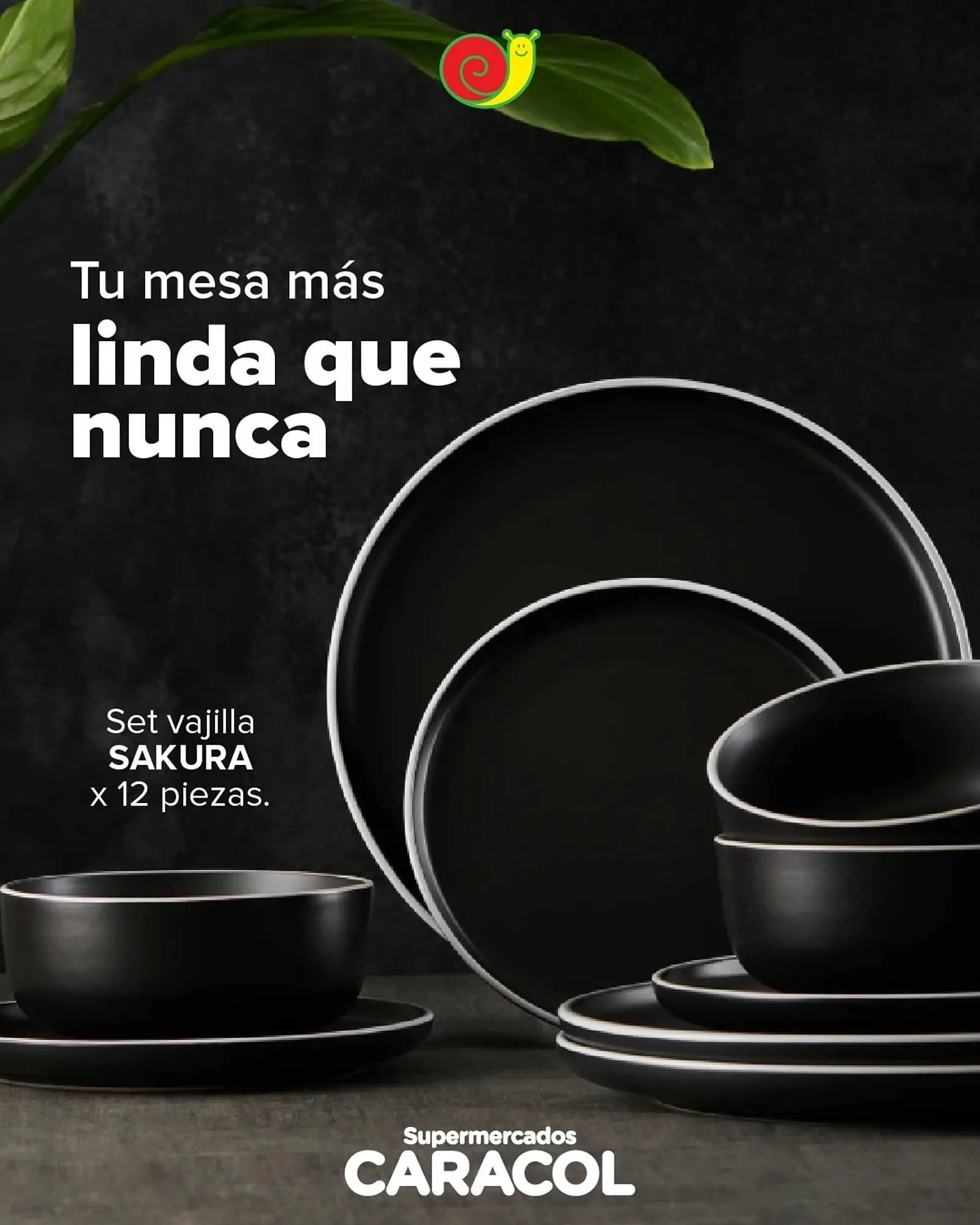 Ofertas de Catálogo Supermercados Caracol 11 de mayo al 24 de mayo 2026 - Página 1 del catálogo