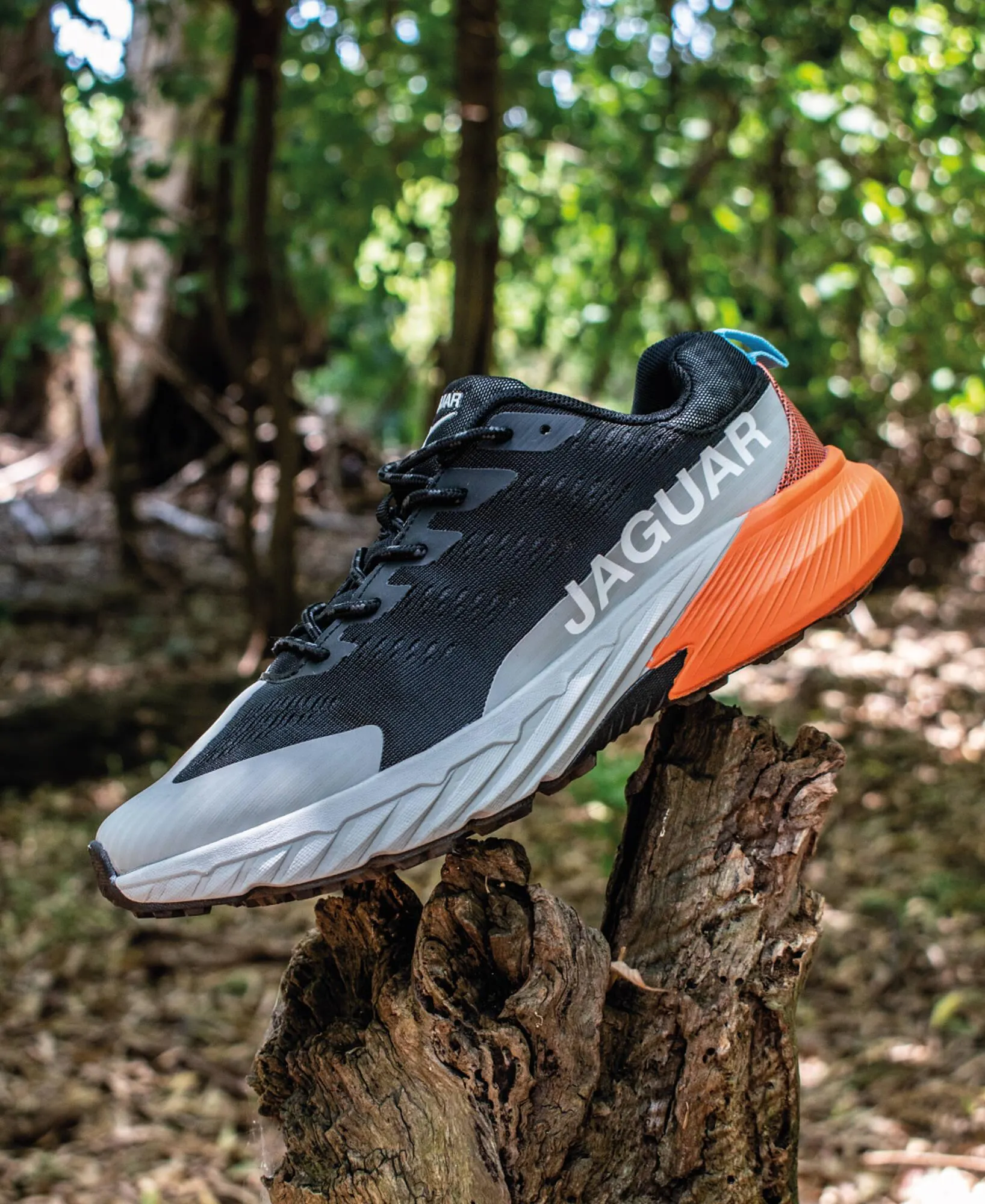 Ofertas de Catálogo Jaguar Shoes 9 de enero al 31 de enero 2026 - Página 2 del catálogo