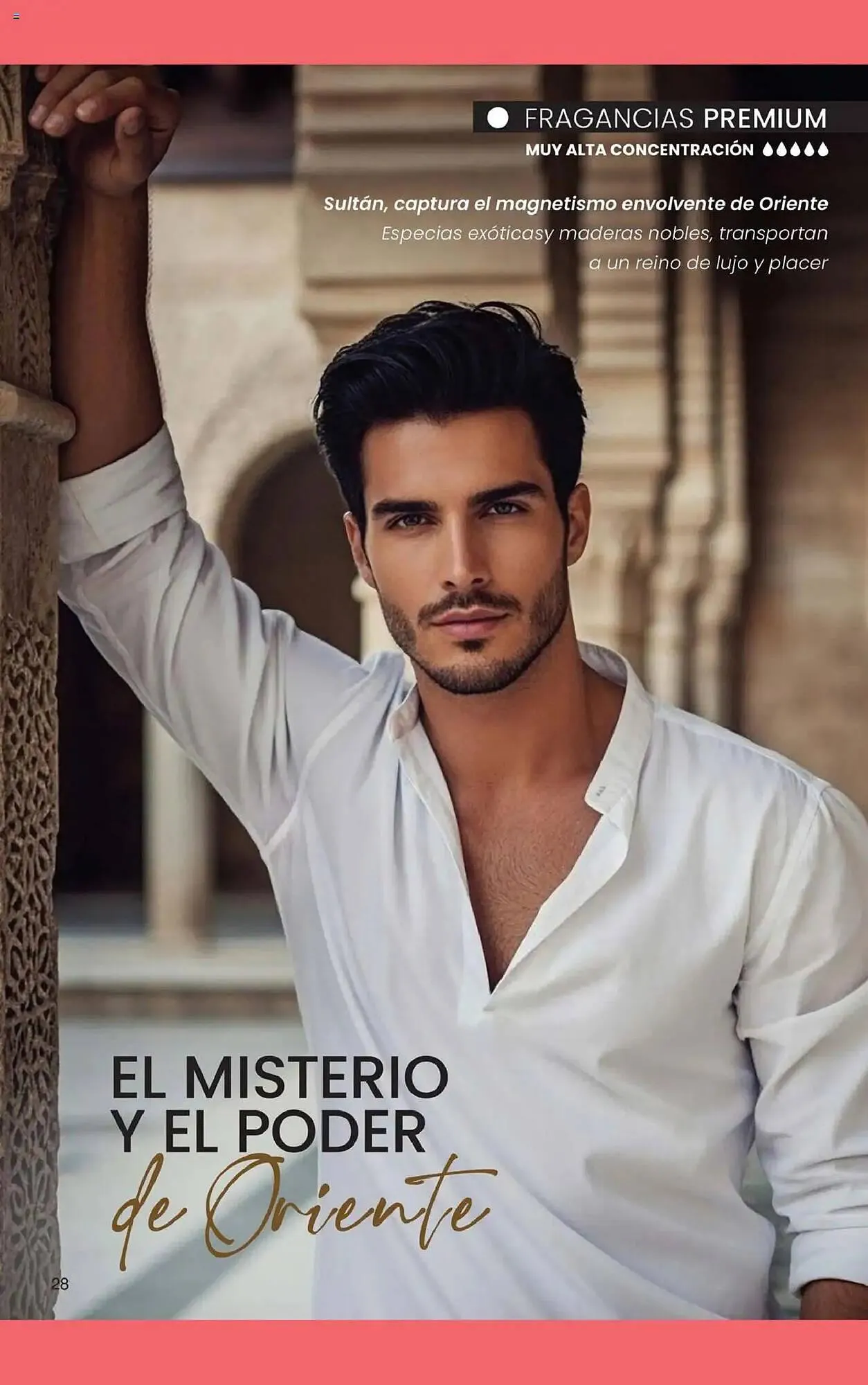 Ofertas de Folleto Gigot 1 de noviembre al 1 de diciembre 2025 - Página 34 del catálogo