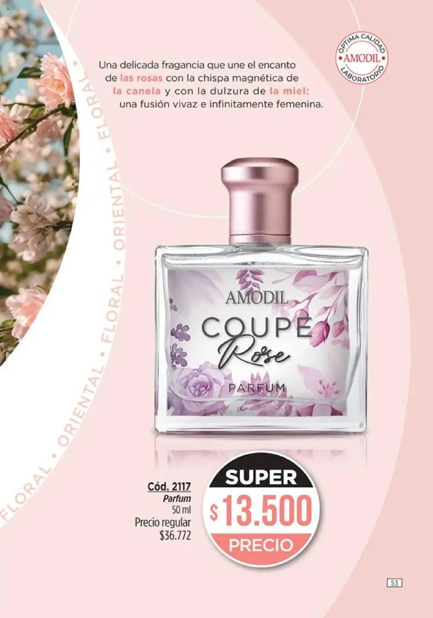 Ofertas de Catálogo Amodil 24 de marzo al 6 de abril 2025 - Página 53 del catálogo