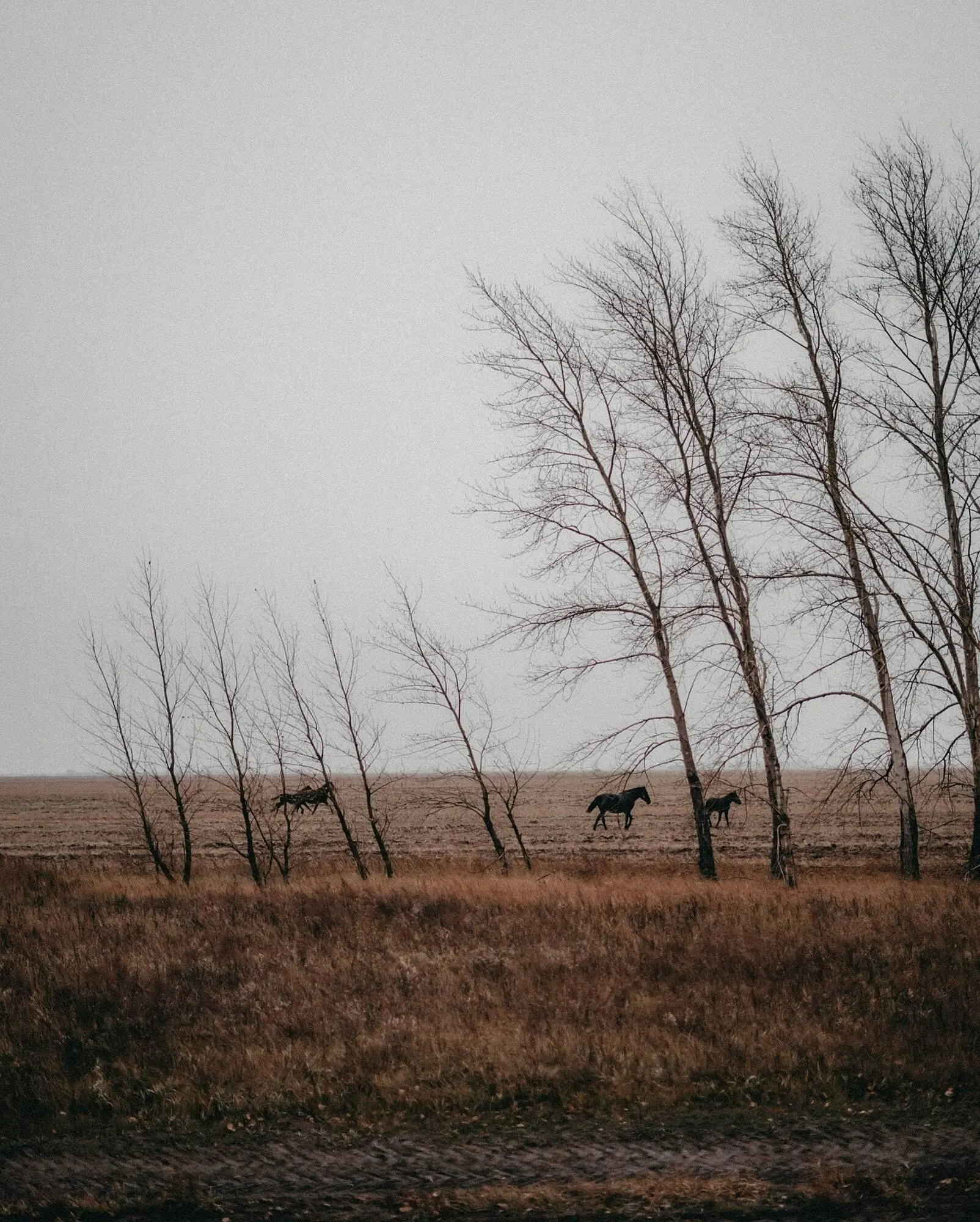 Ofertas de Catálogo La Martina 27 de enero al 2 de febrero 2026 - Página 2 del catálogo