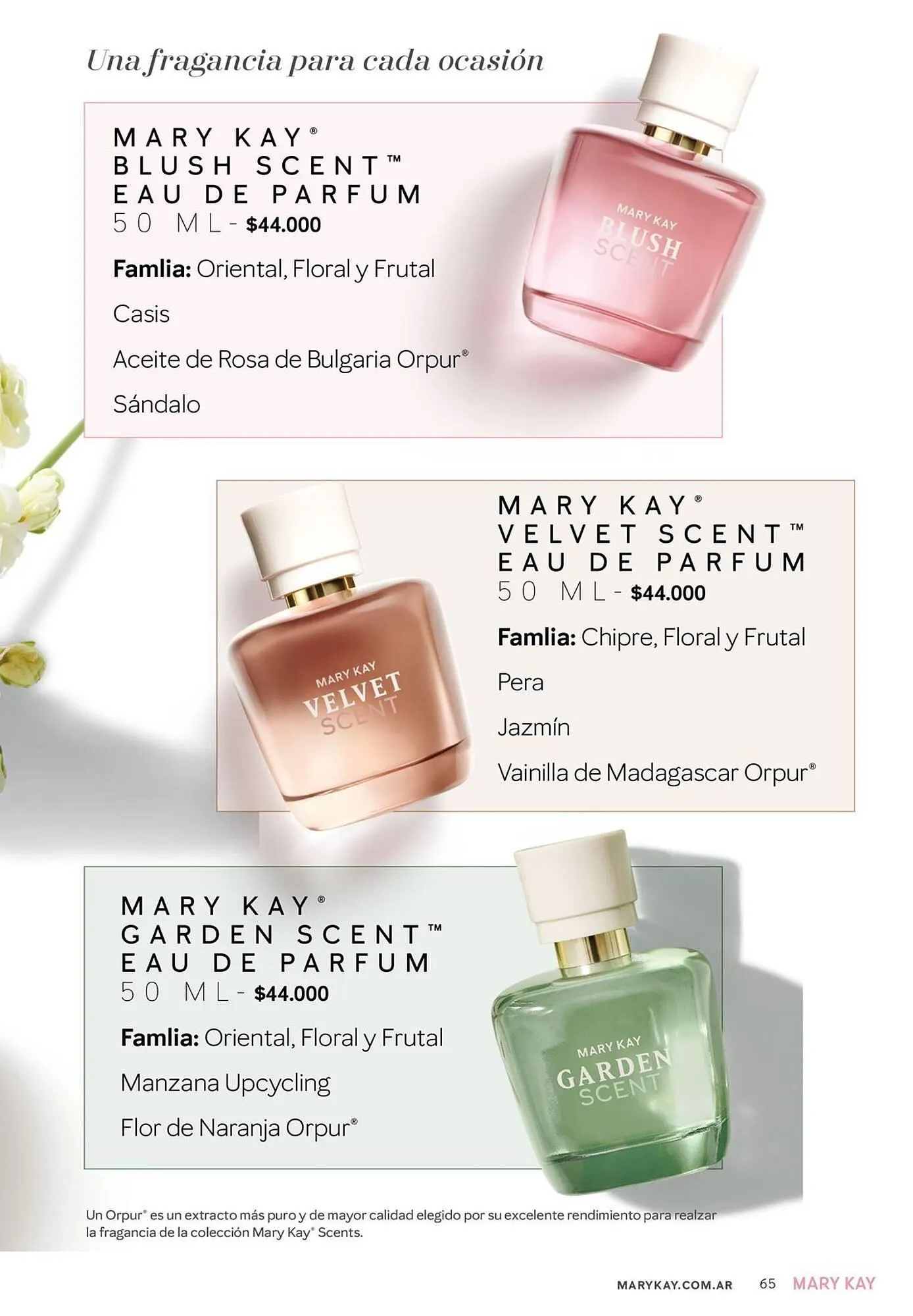 Ofertas de Catálogo Mary Kay 1 de abril al 30 de abril 2025 - Página 65 del catálogo