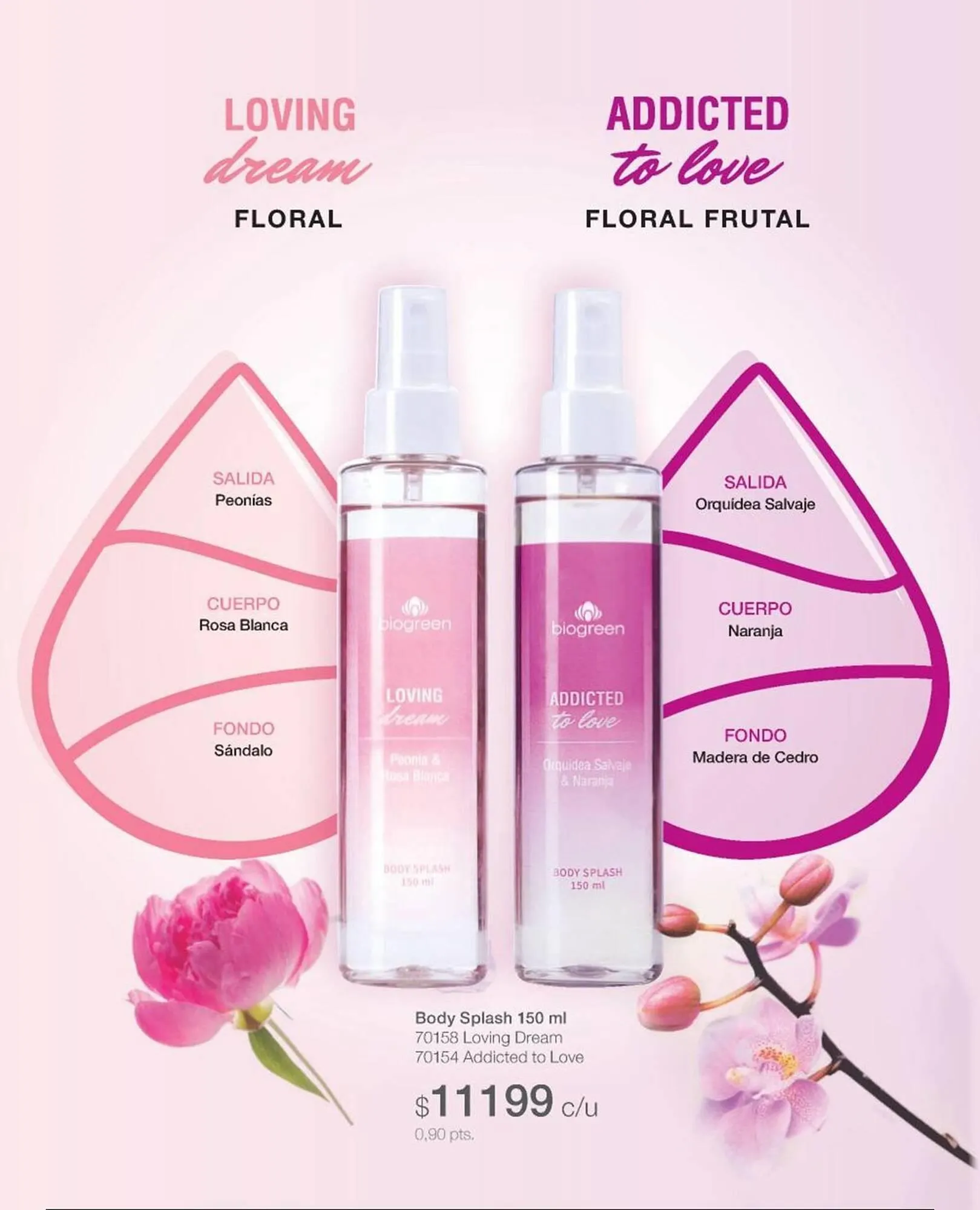 Ofertas de Catálogo Biogreen 10 de marzo al 16 de marzo 2025 - Página 54 del catálogo