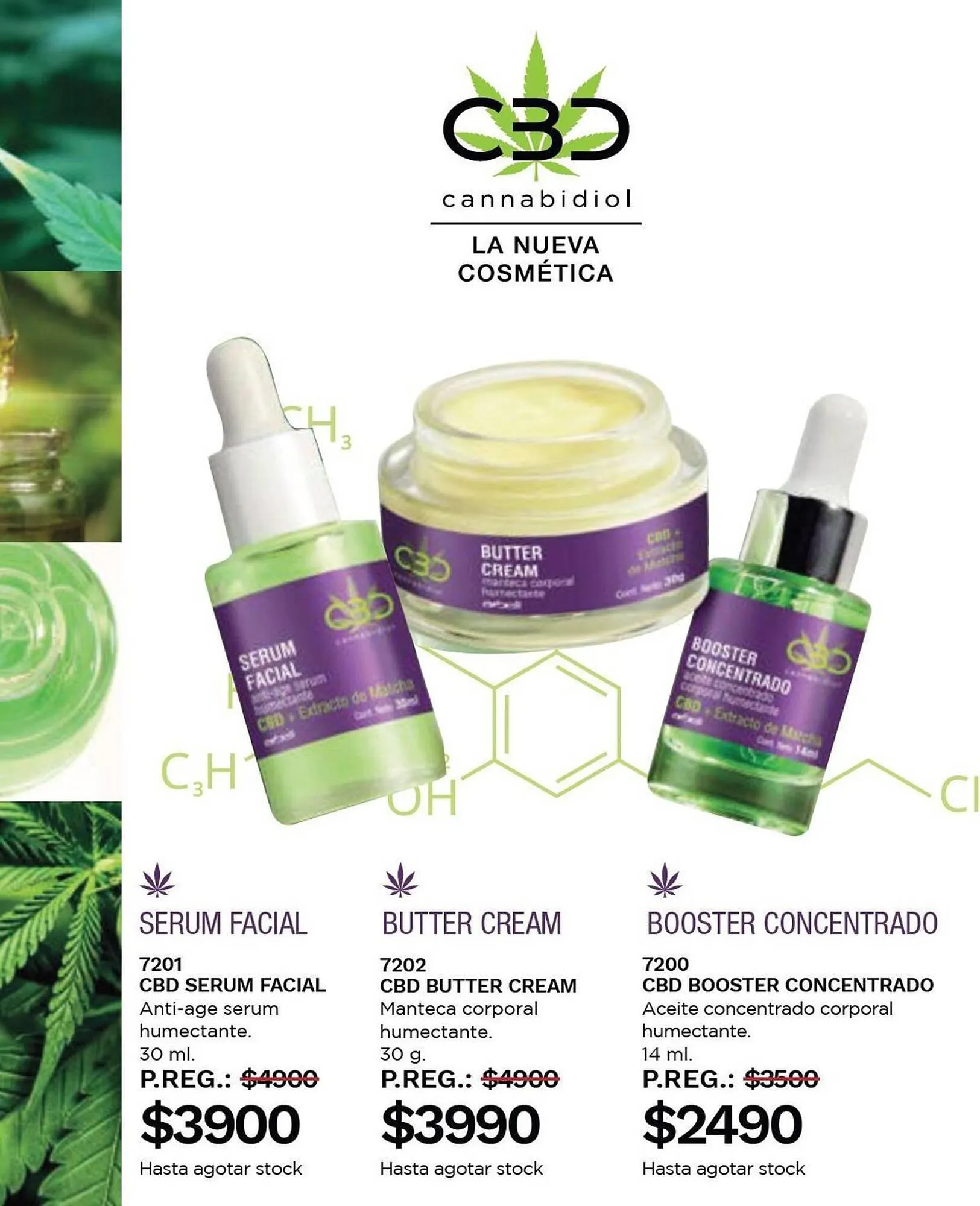 Ofertas de Catálogo Arbell 10 de noviembre al 4 de diciembre 2023 - Página 27 del catálogo