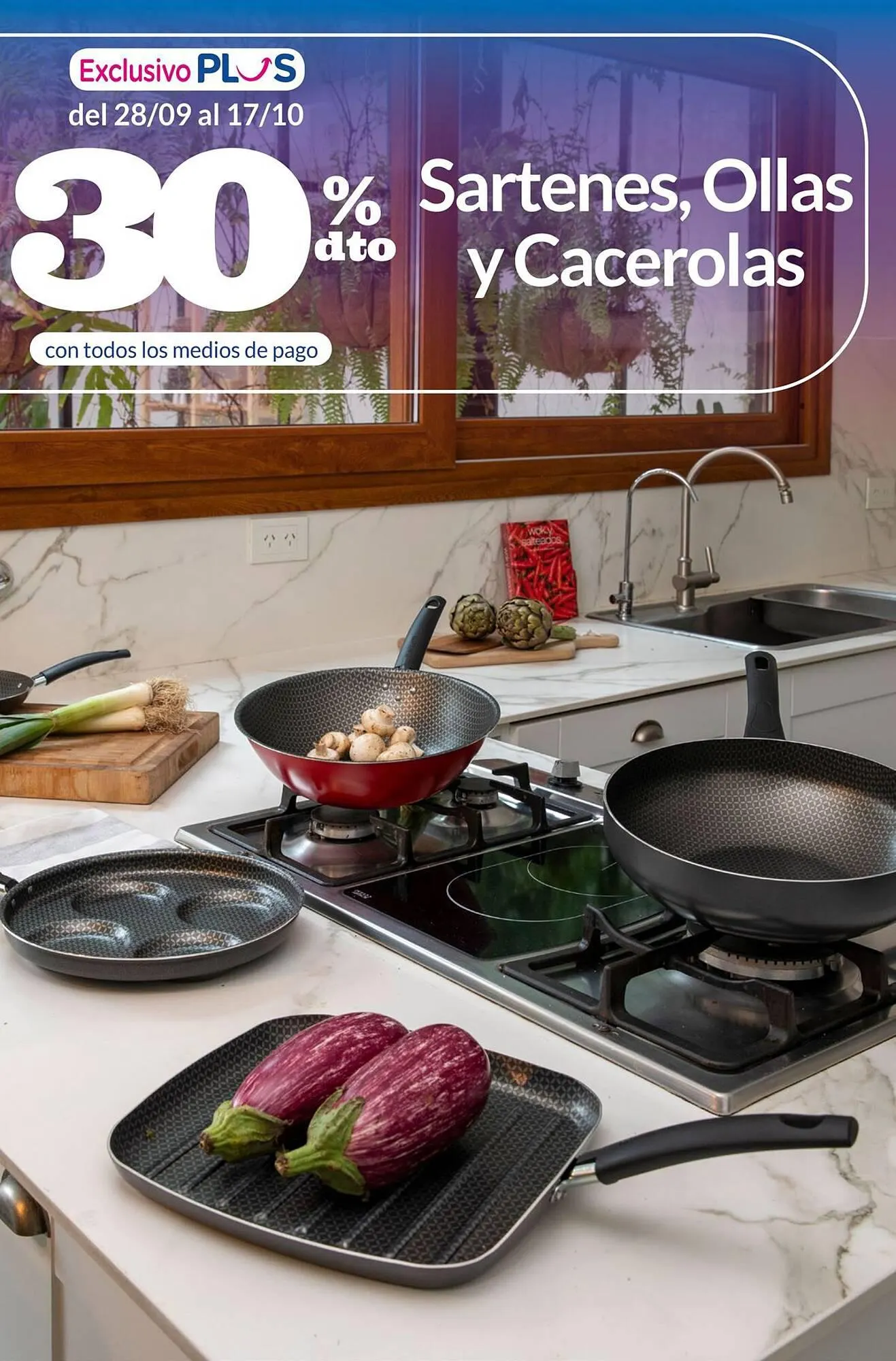 Ofertas de Catálogo La Anonima 28 de septiembre al 15 de octubre 2023 - Página 25 del catálogo