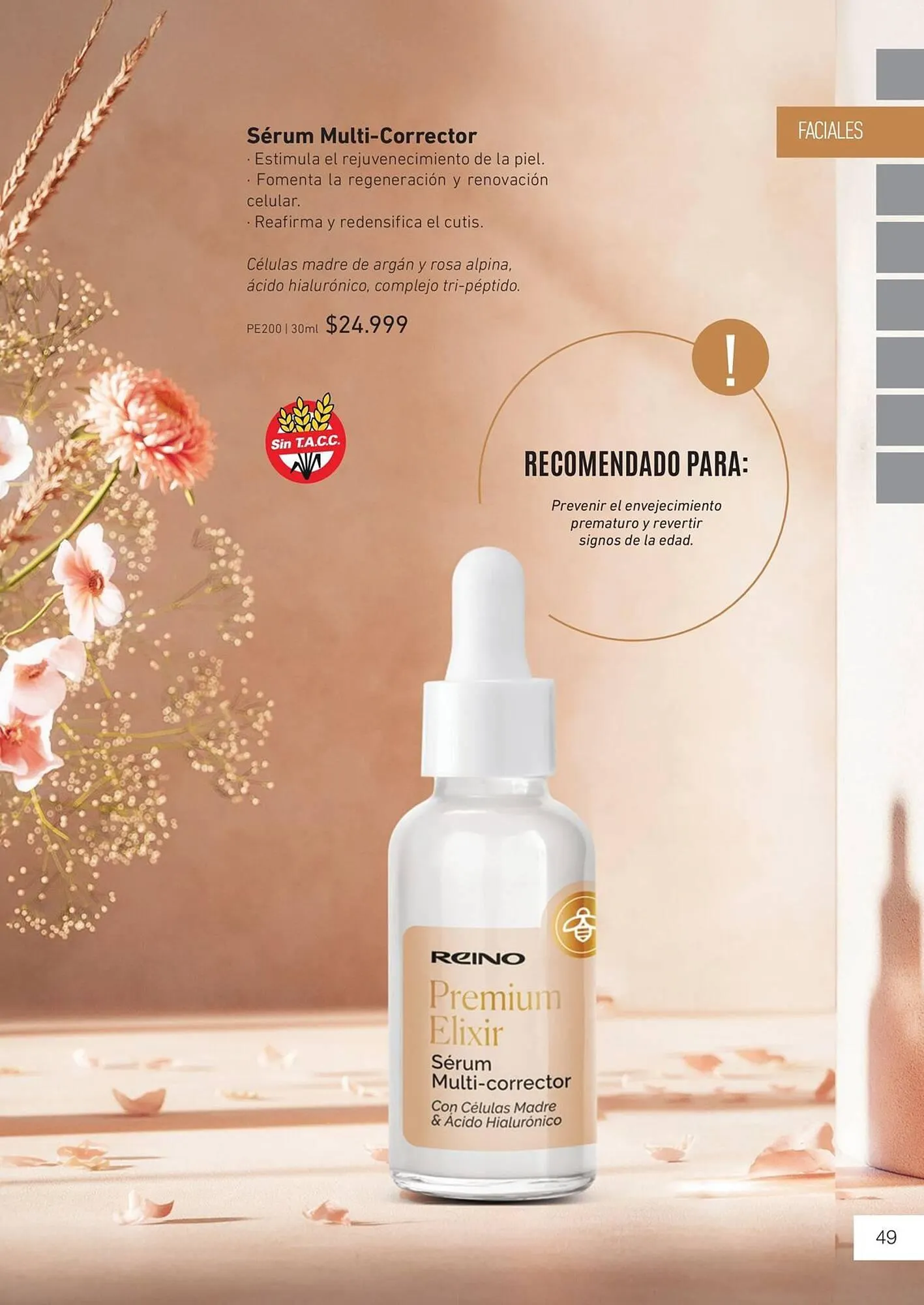 Ofertas de Catálogo Reino Cosmética 8 de mayo al 31 de mayo 2025 - Página 51 del catálogo