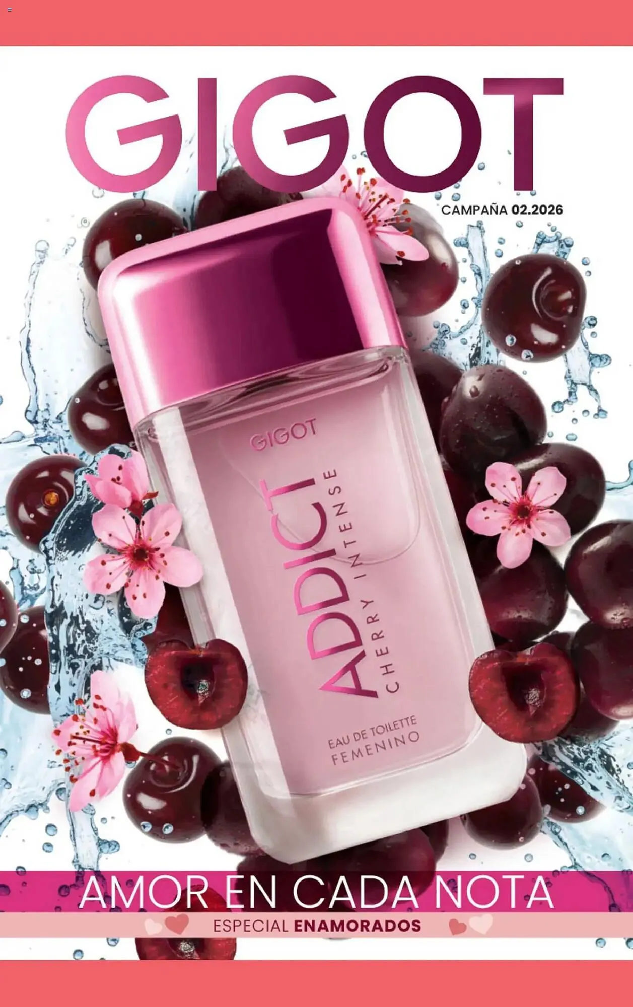 Ofertas de Folleto Gigot 1 de febrero al 1 de marzo 2026 - Página 1 del catálogo