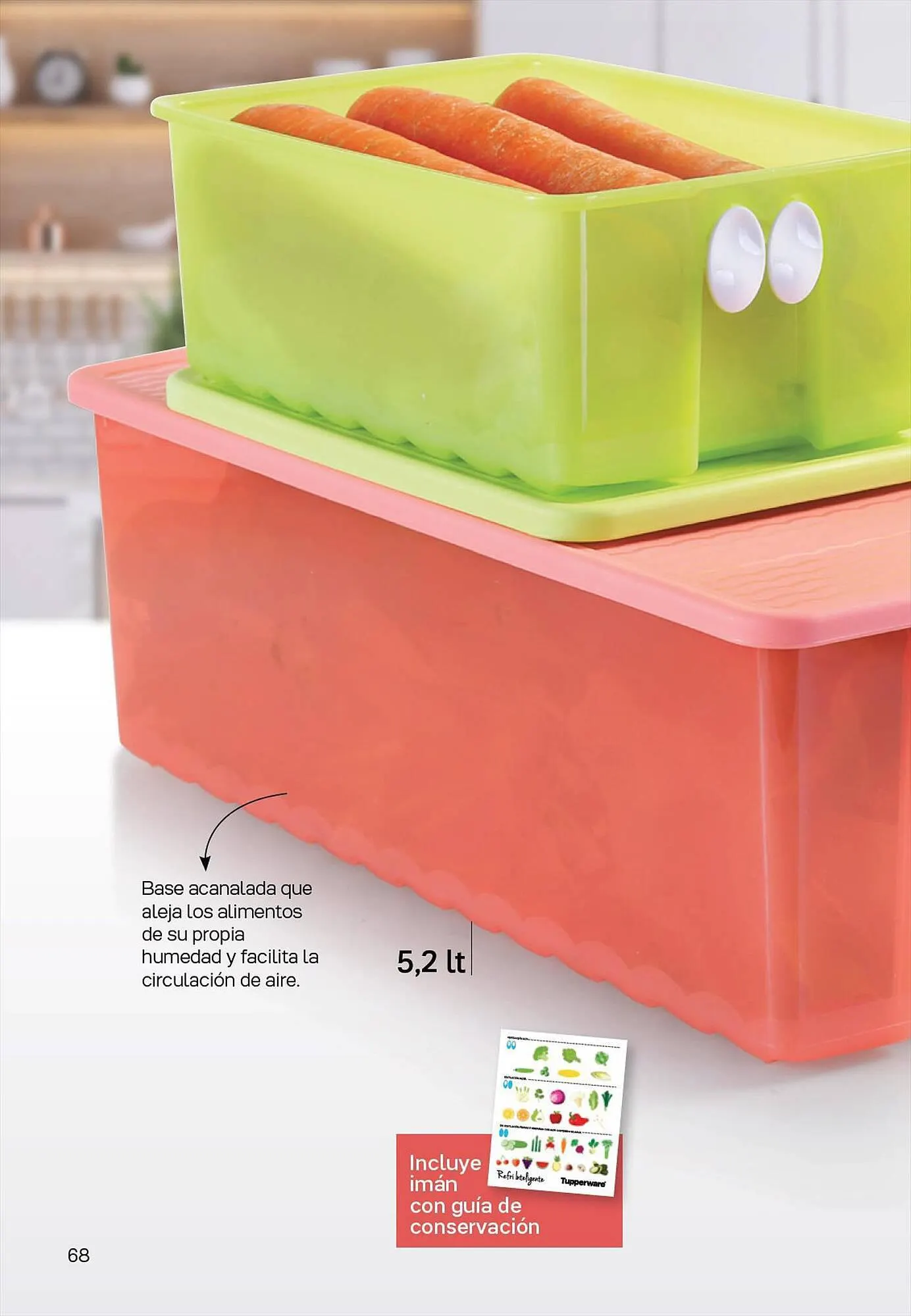 Ofertas de Catálogo Tupperware 25 de septiembre al 31 de octubre 2023 - Página 69 del catálogo