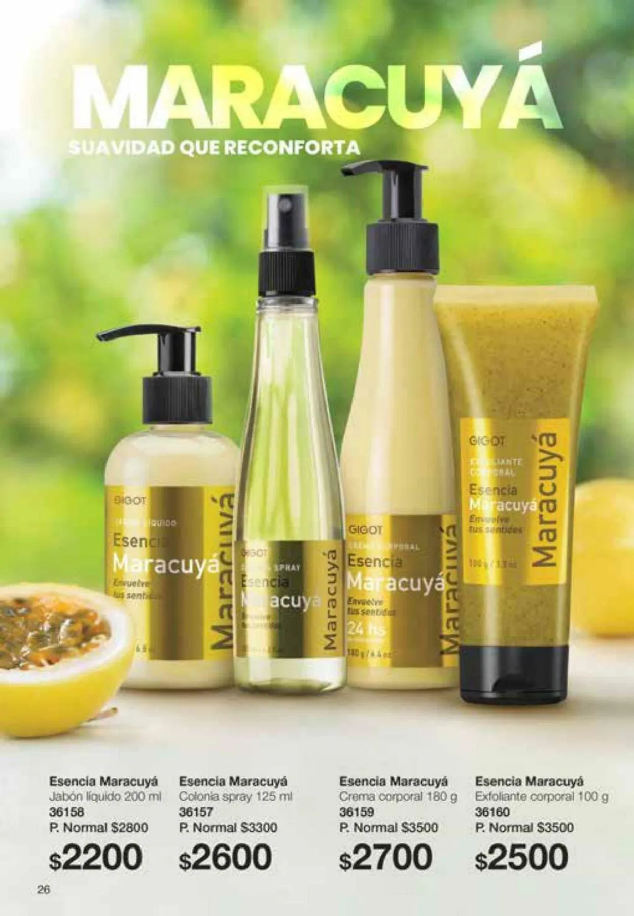 Ofertas de Gigot 6 de octubre al 31 de octubre 2023 - Página 26 del catálogo