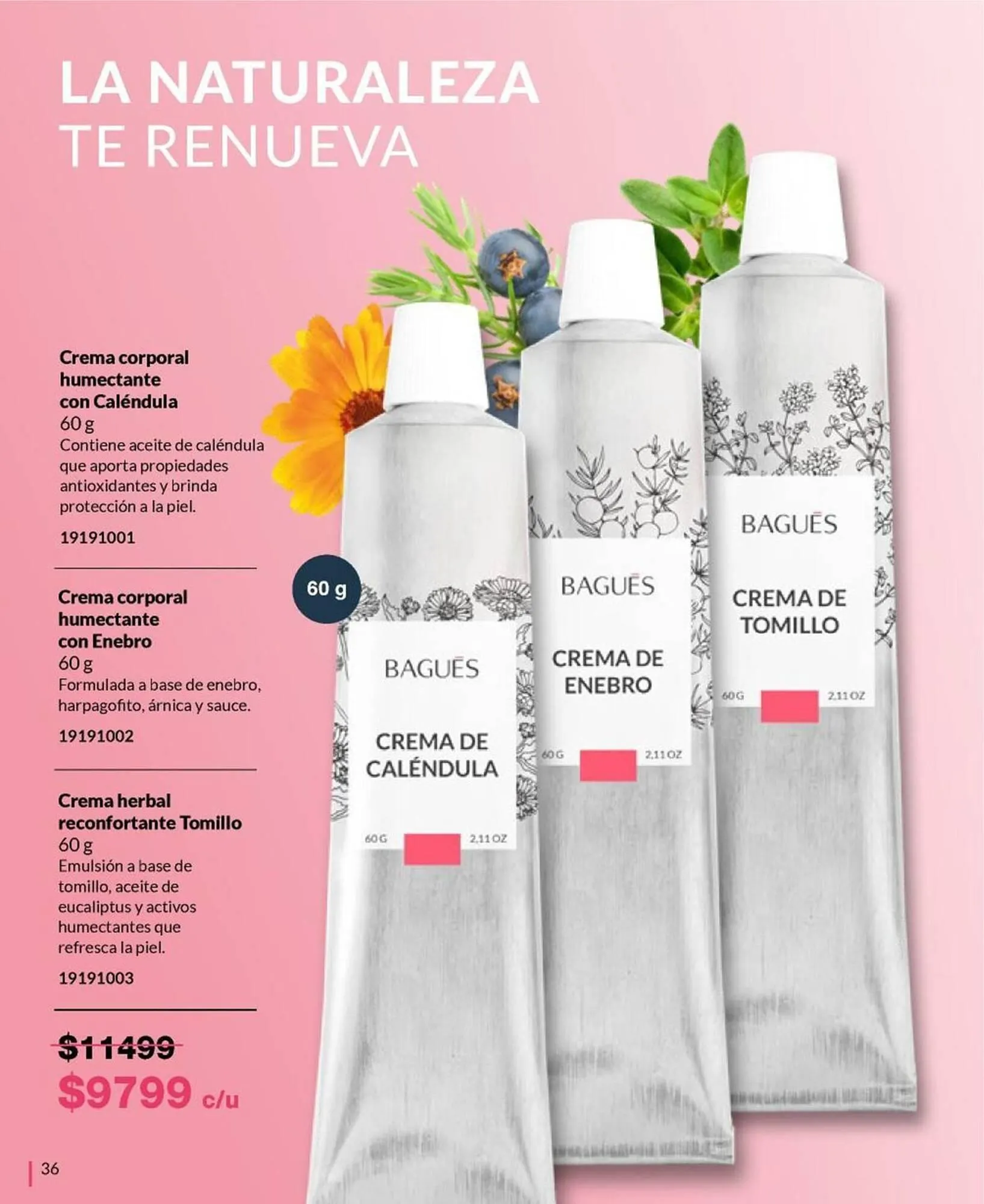 Ofertas de Catálogo Bagués 20 de octubre al 3 de noviembre 2024 - Página 49 del catálogo