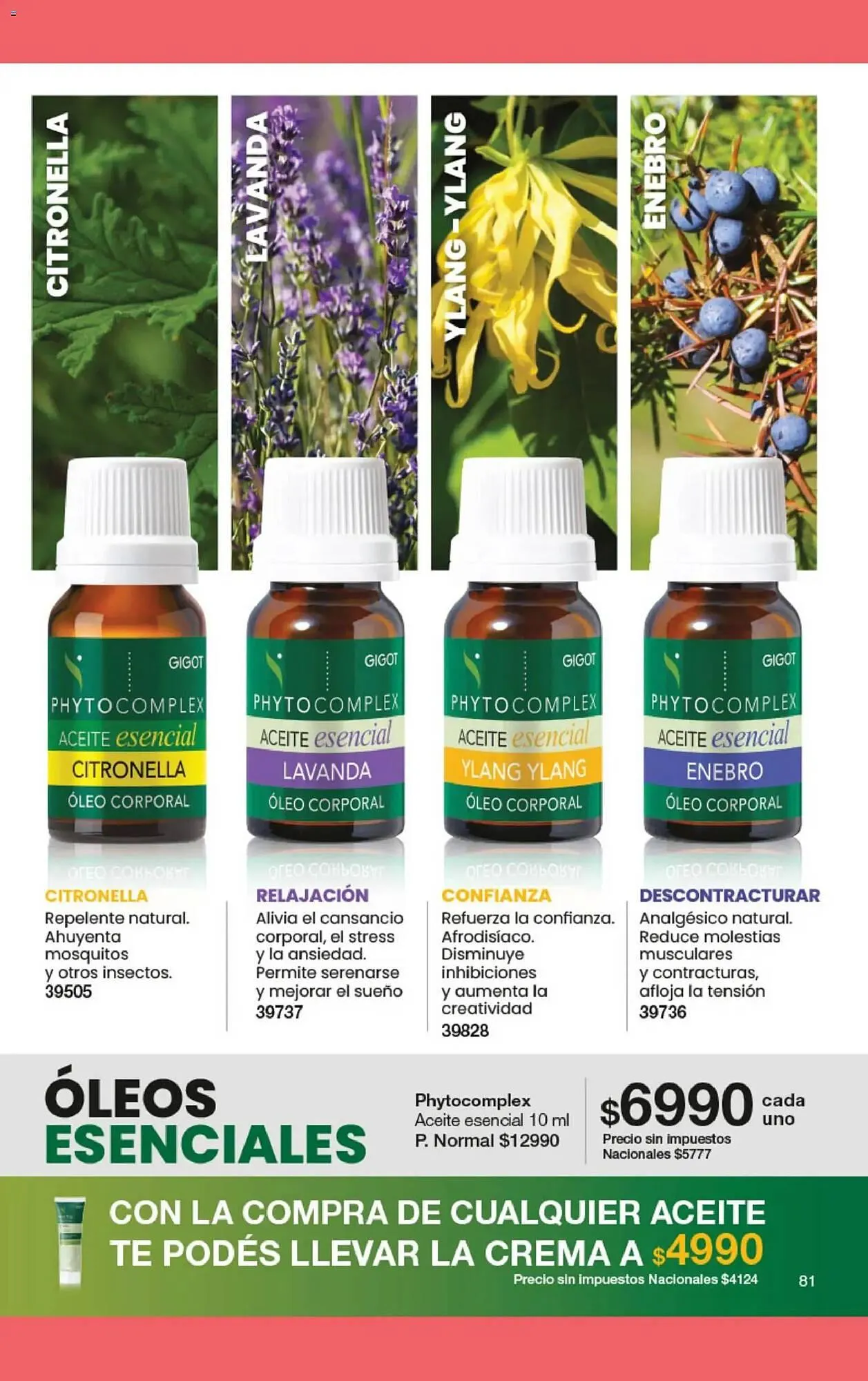 Ofertas de Folleto Gigot 1 de marzo al 31 de marzo 2026 - Página 37 del catálogo