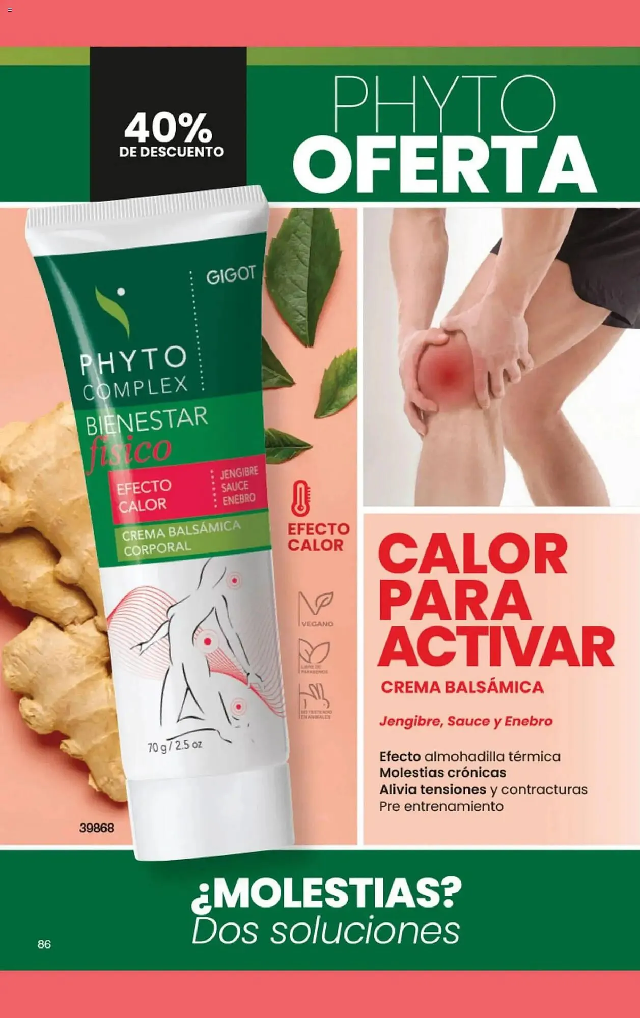 Ofertas de Folleto Gigot 1 de febrero al 1 de marzo 2026 - Página 90 del catálogo