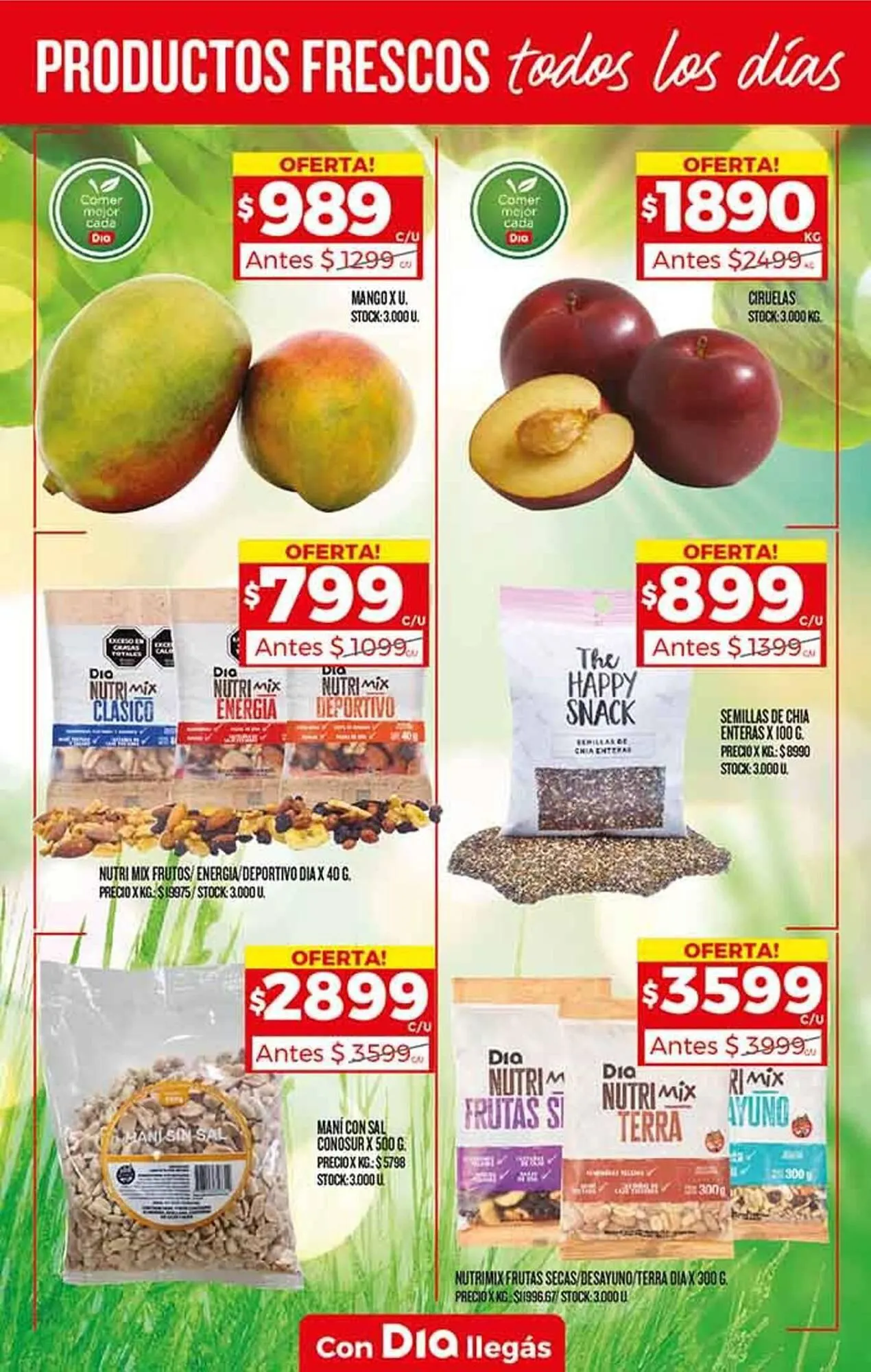 Ofertas de Catálogo Supermercados DIA 1 de febrero al 7 de febrero 2024 - Página 34 del catálogo