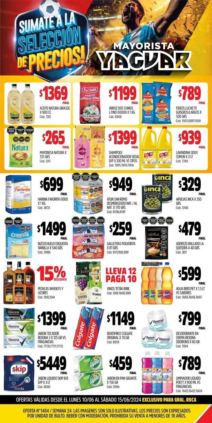 Ofertas de Catálogo Super Yaguar Roca/Neuquén 10 de junio al 16 de junio 2024 - Página 1 del catálogo