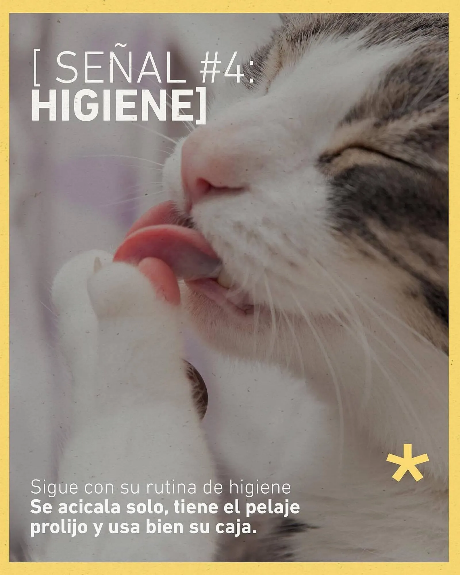 Ofertas de Catálogo Puppis 24 de junio al 30 de junio 2025 - Página 5 del catálogo
