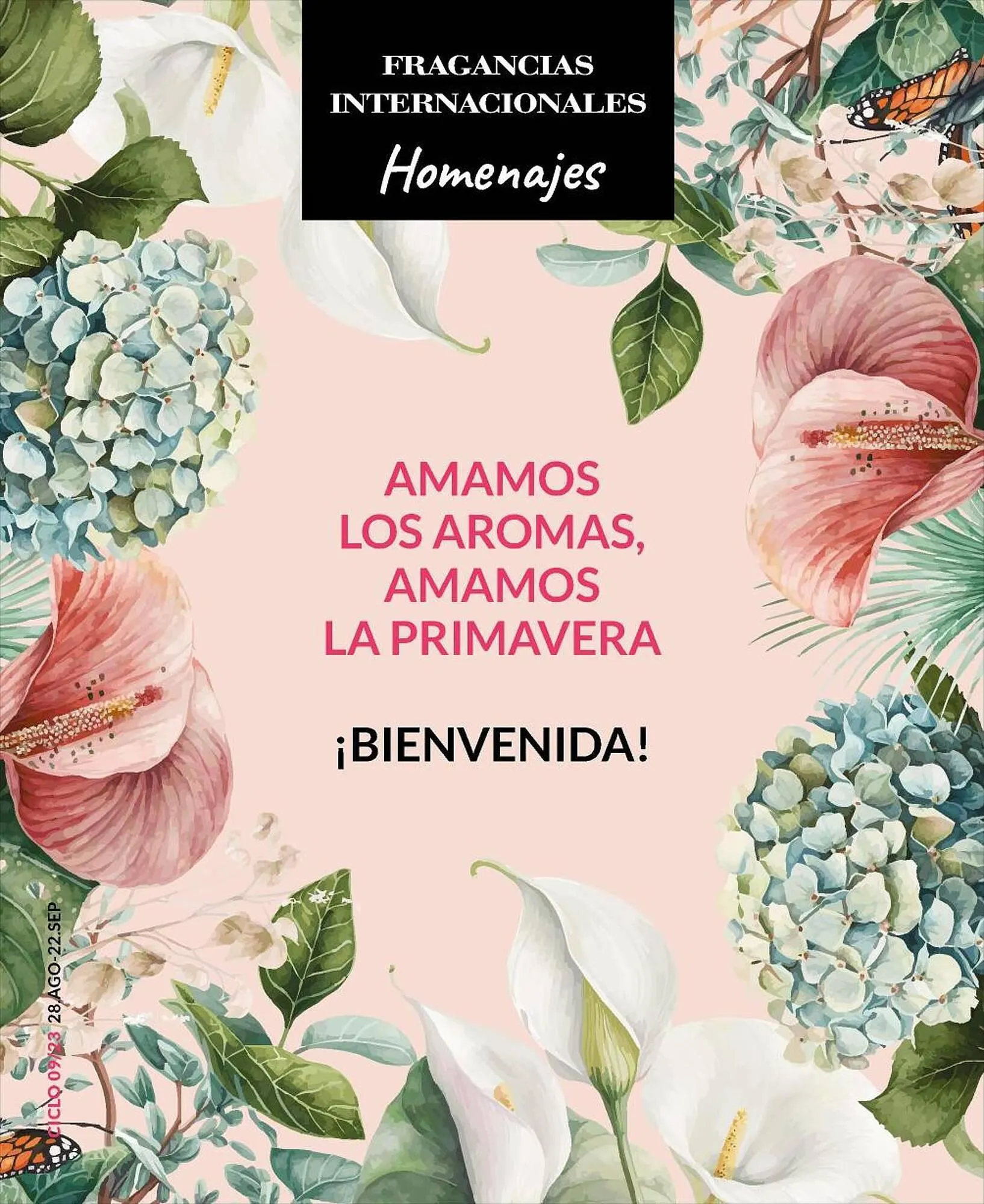 Ofertas de Catálogo Bagués 28 de agosto al 22 de septiembre 2023 - Página 101 del catálogo