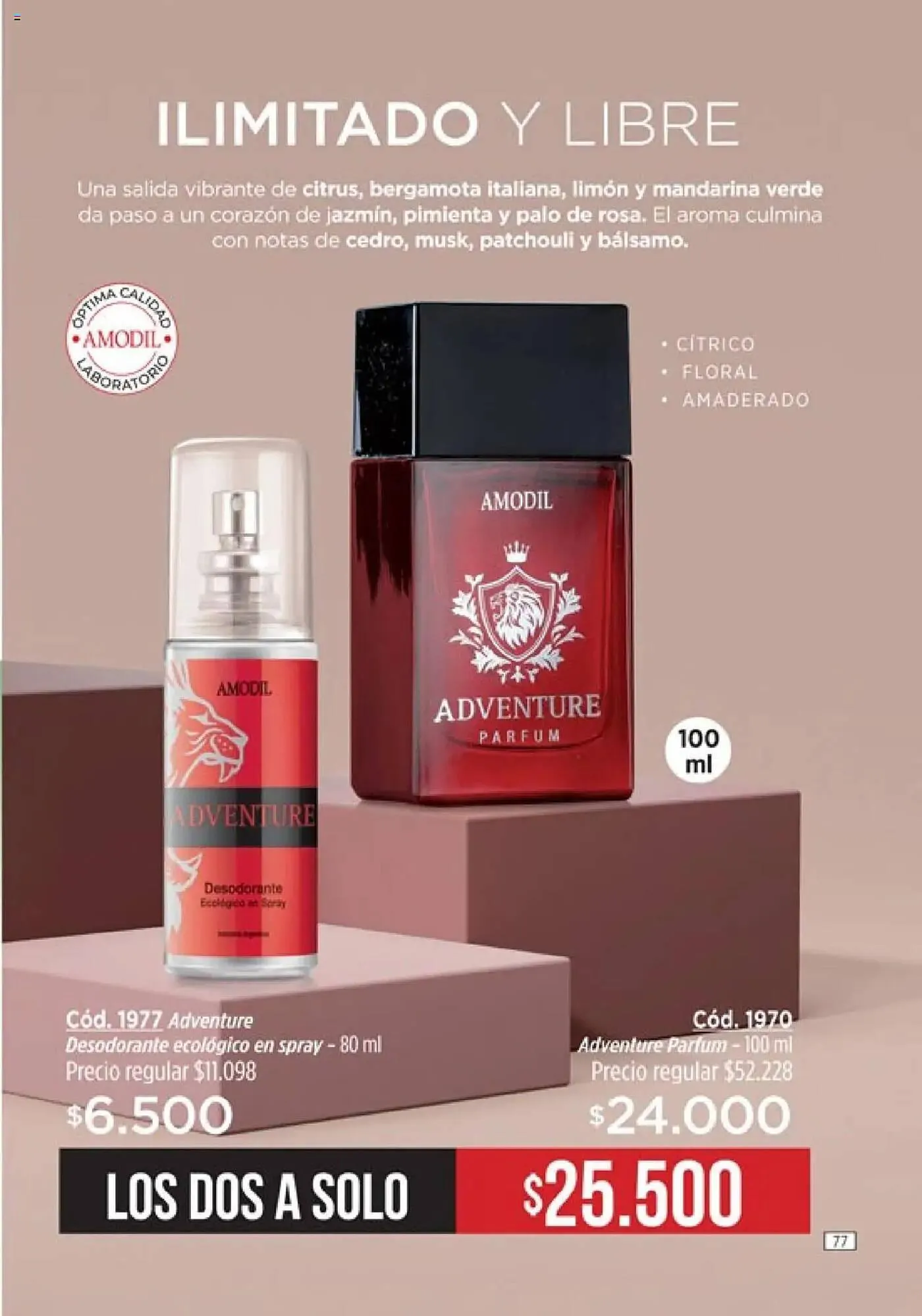 Ofertas de Catálogo Amodil 1 de octubre al 1 de noviembre 2025 - Página 77 del catálogo