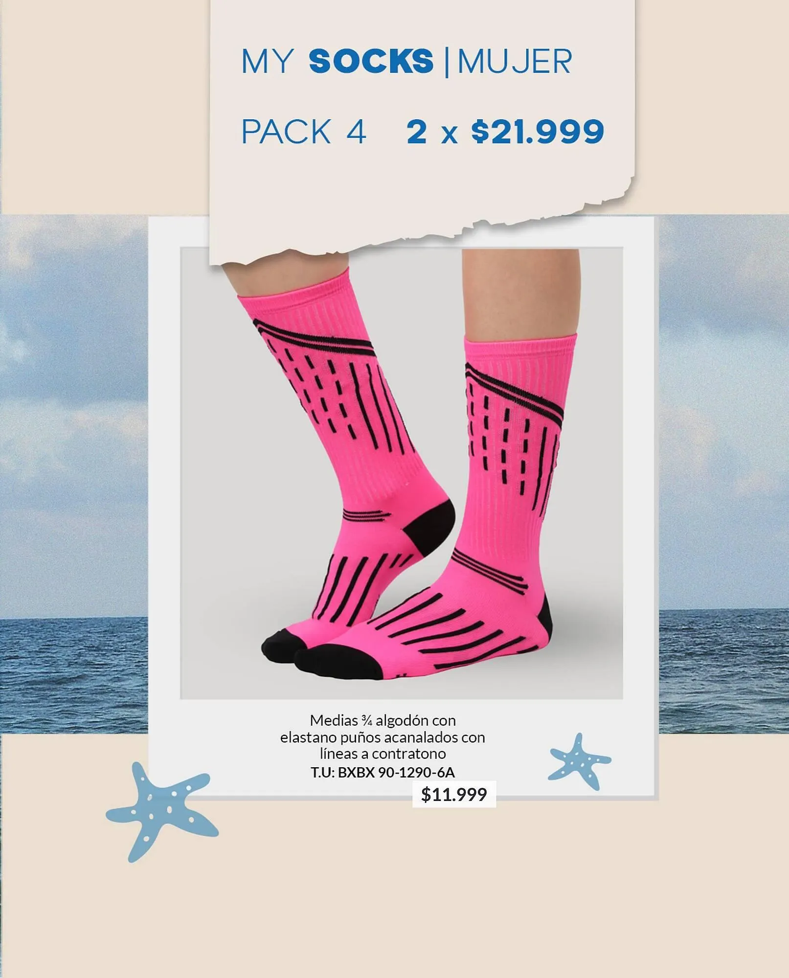 Ofertas de Catálogo Vitnik 4 de febrero al 31 de marzo 2026 - Página 53 del catálogo