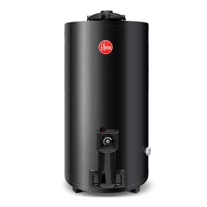 Termotanque TGNP080RH 80 Lts Gas Natural