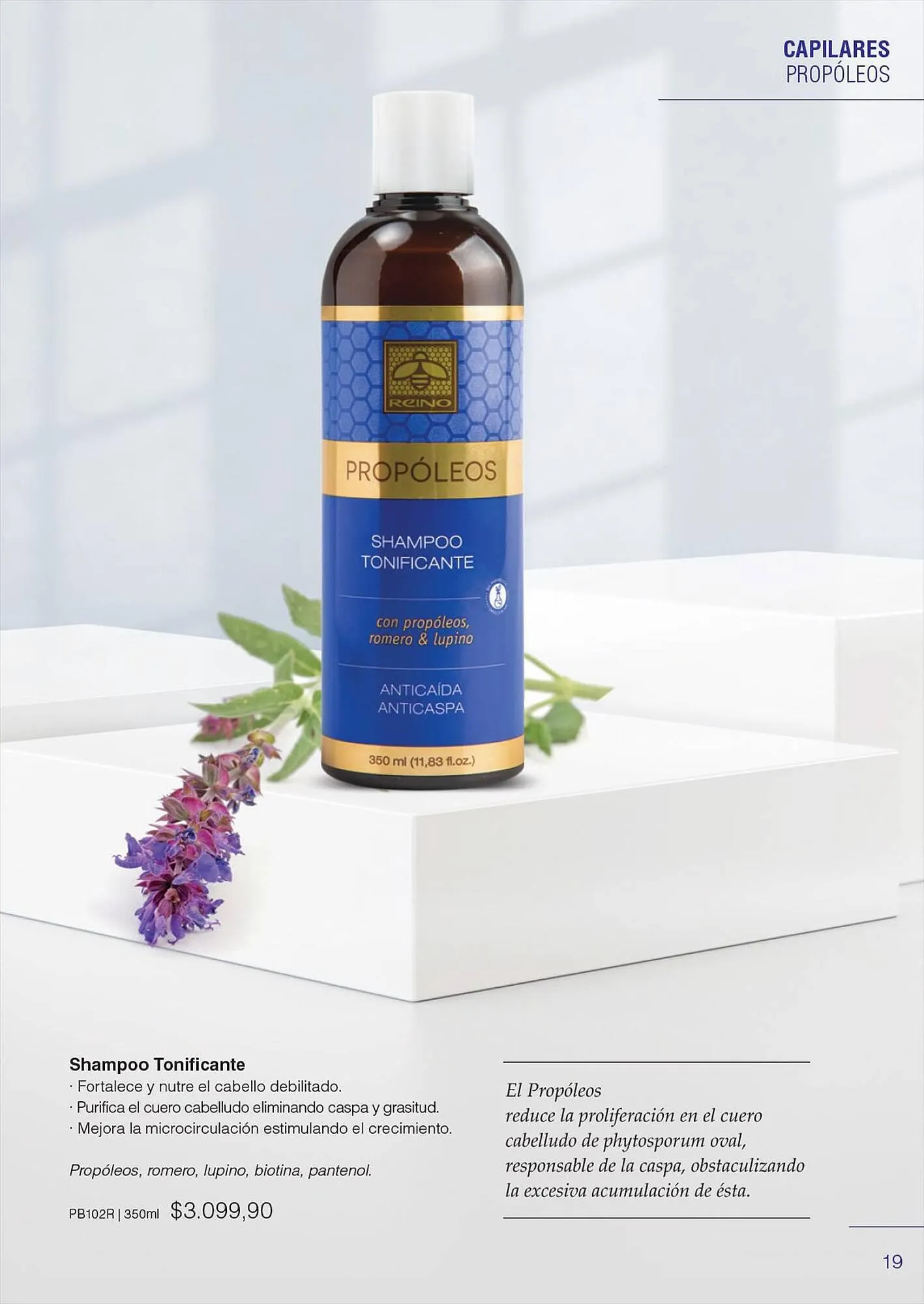 Ofertas de Catálogo Reino Cosmética 28 de julio al 31 de julio 2023 - Página 21 del catálogo