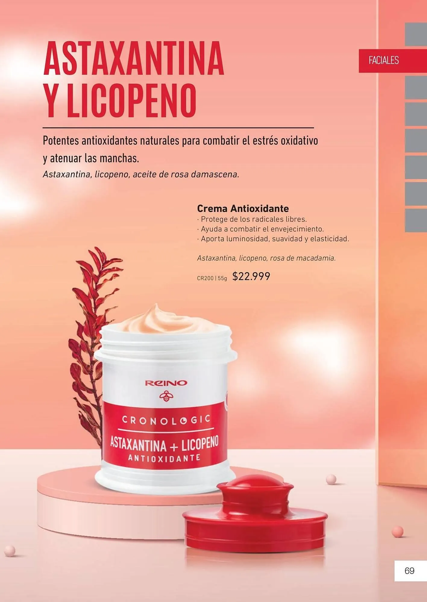 Ofertas de Catálogo Reino Cosmética 8 de mayo al 31 de mayo 2025 - Página 71 del catálogo