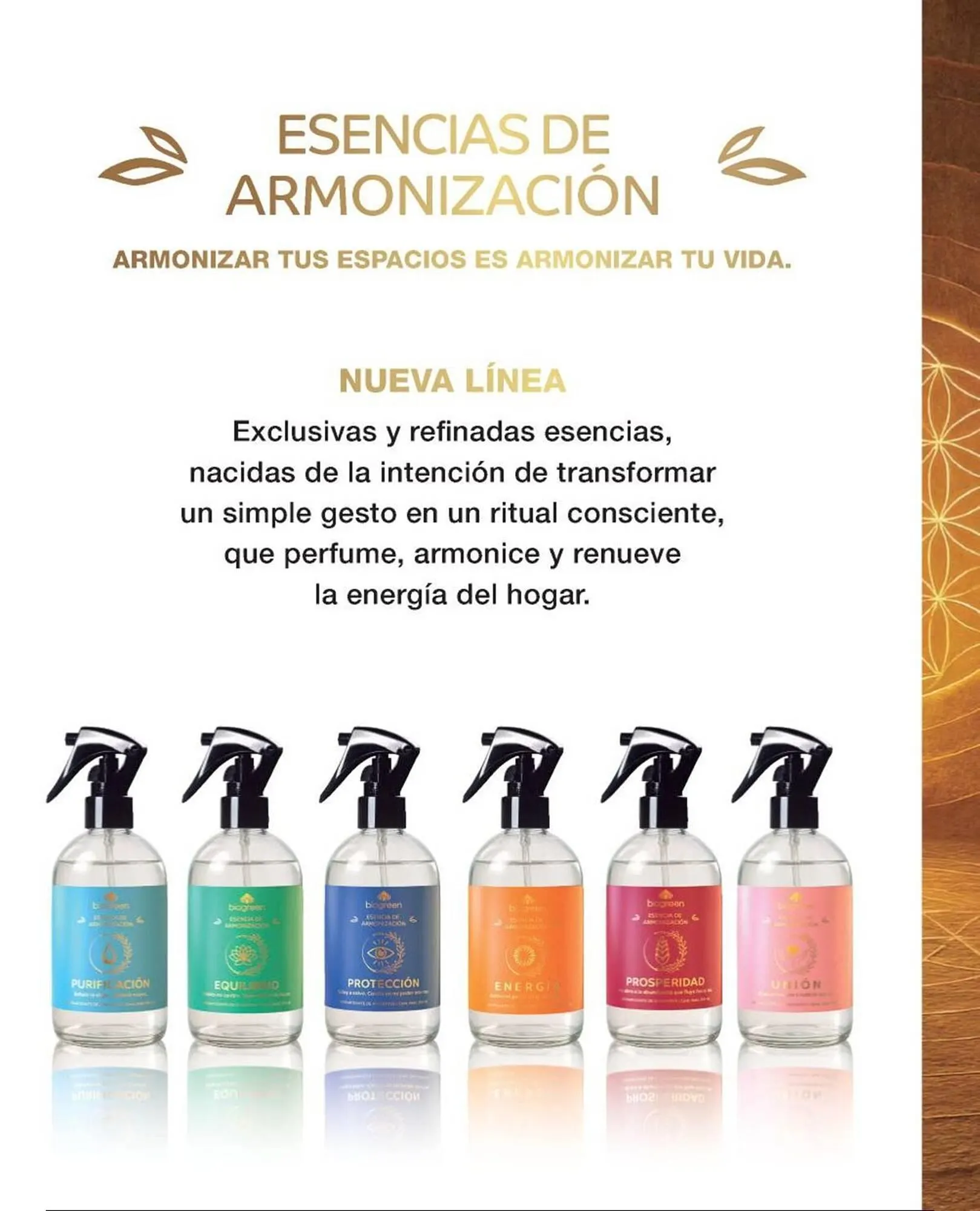 Ofertas de Catálogo Biogreen 4 de noviembre al 30 de noviembre 2025 - Página 3 del catálogo