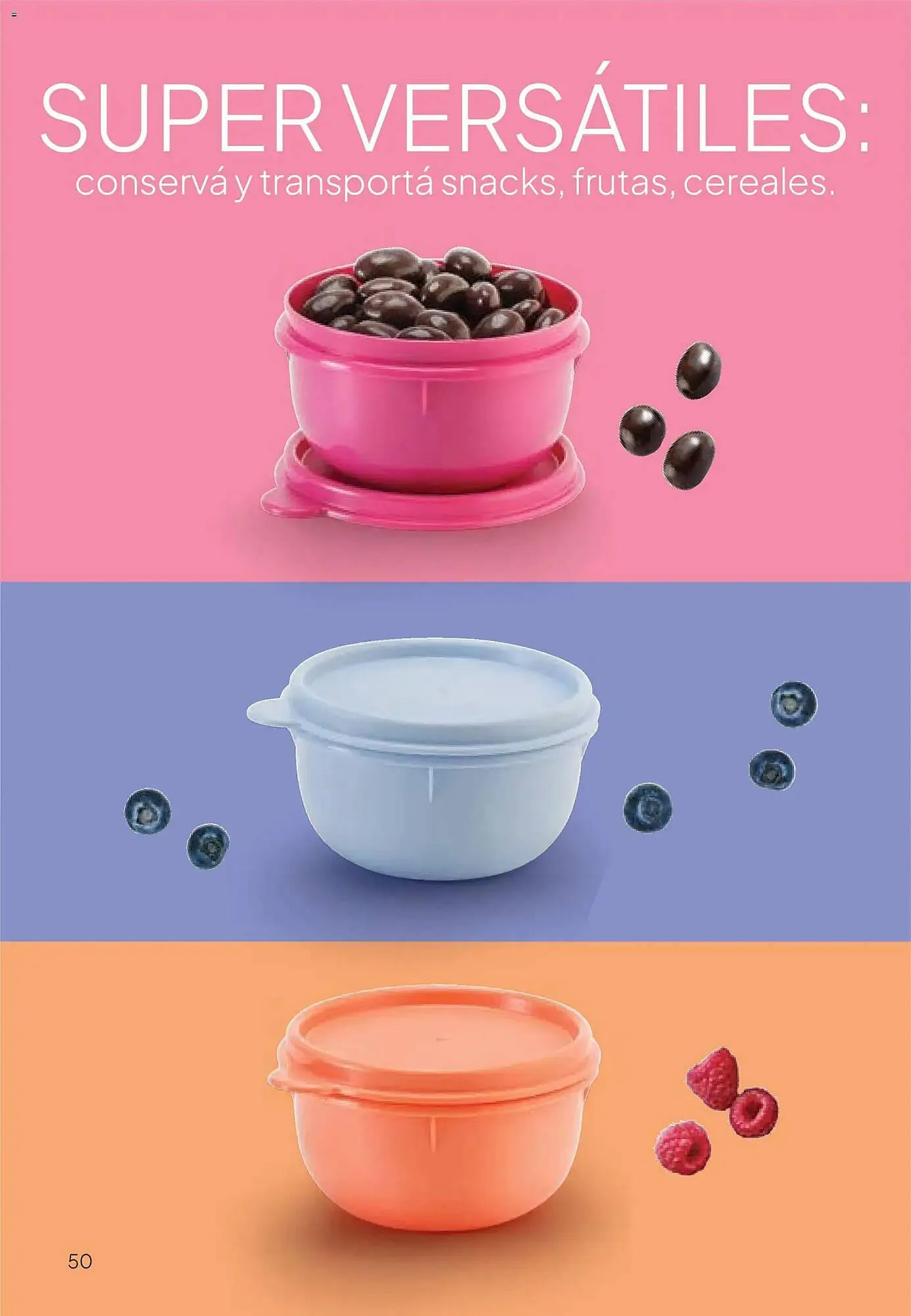 Ofertas de Folleto Tupperware 24 de noviembre al 31 de diciembre 2025 - Página 51 del catálogo
