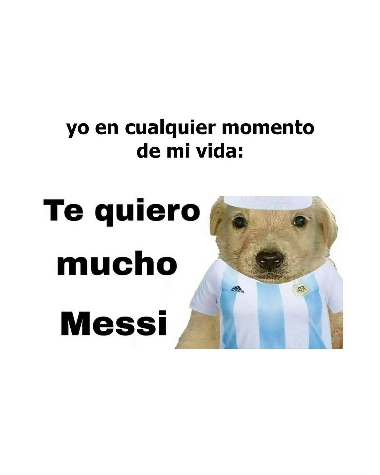 Ofertas de Catálogo 47 Street 20 de junio al 30 de junio 2024 - Página 1 del catálogo