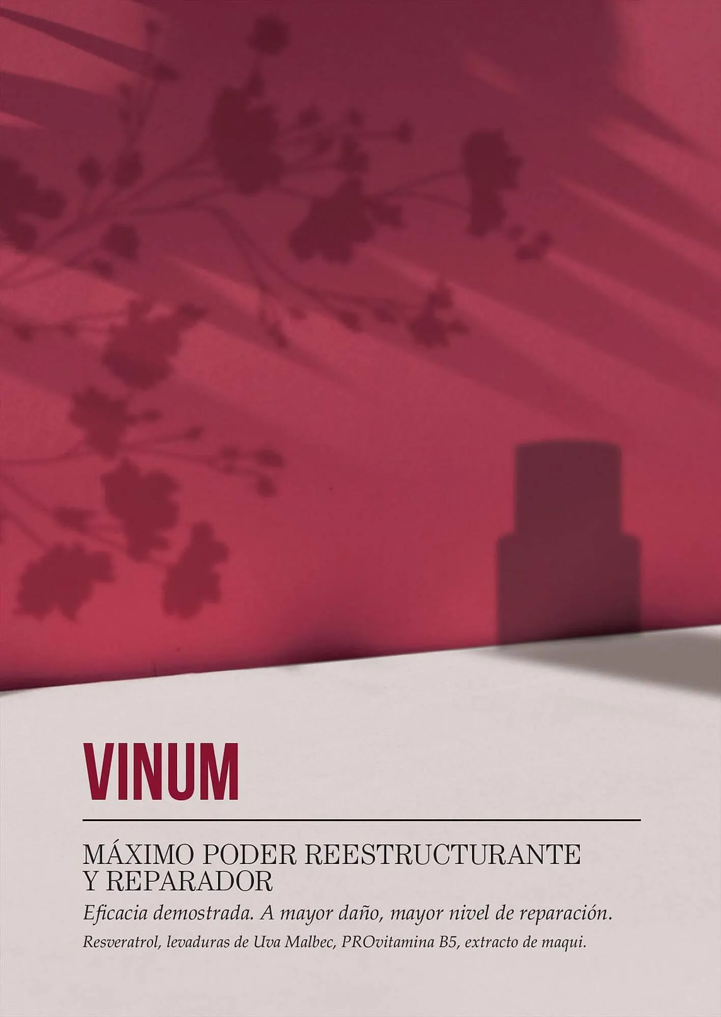 Ofertas de Catálogo Reino Cosmética 28 de julio al 31 de julio 2023 - Página 42 del catálogo