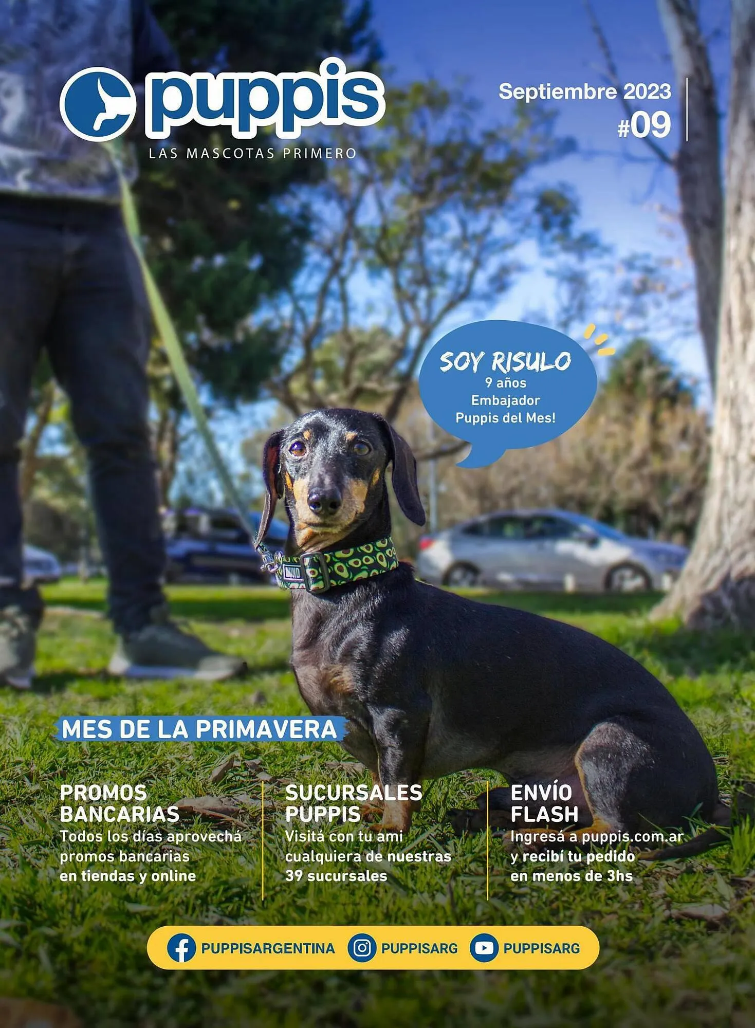 Catálogo Puppis - 1