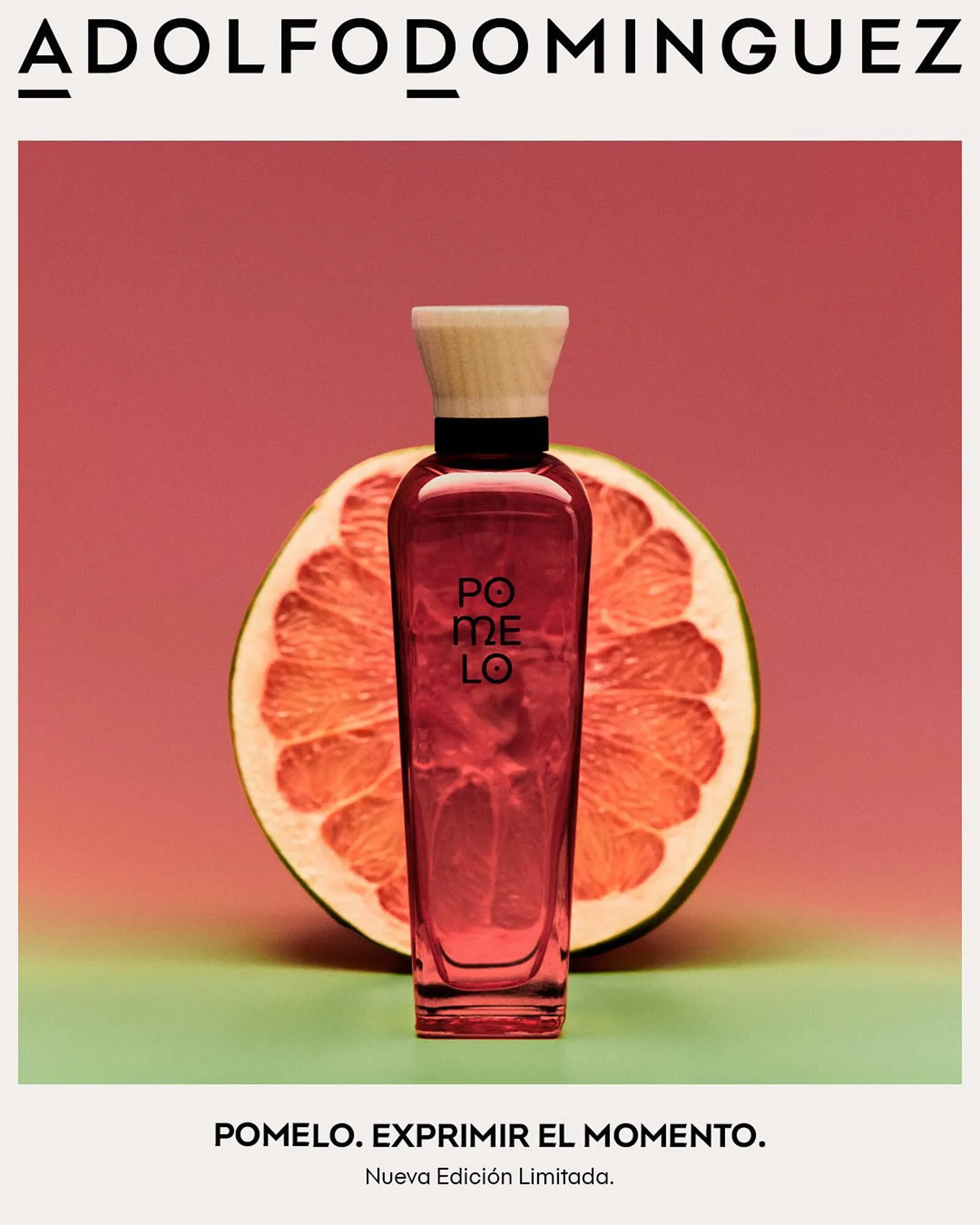 Catálogo Pigmento - 1