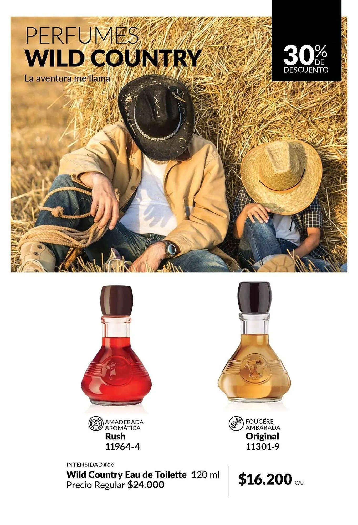 Ofertas de Catálogo Avon 1 de julio al 31 de julio 2025 - Página 85 del catálogo