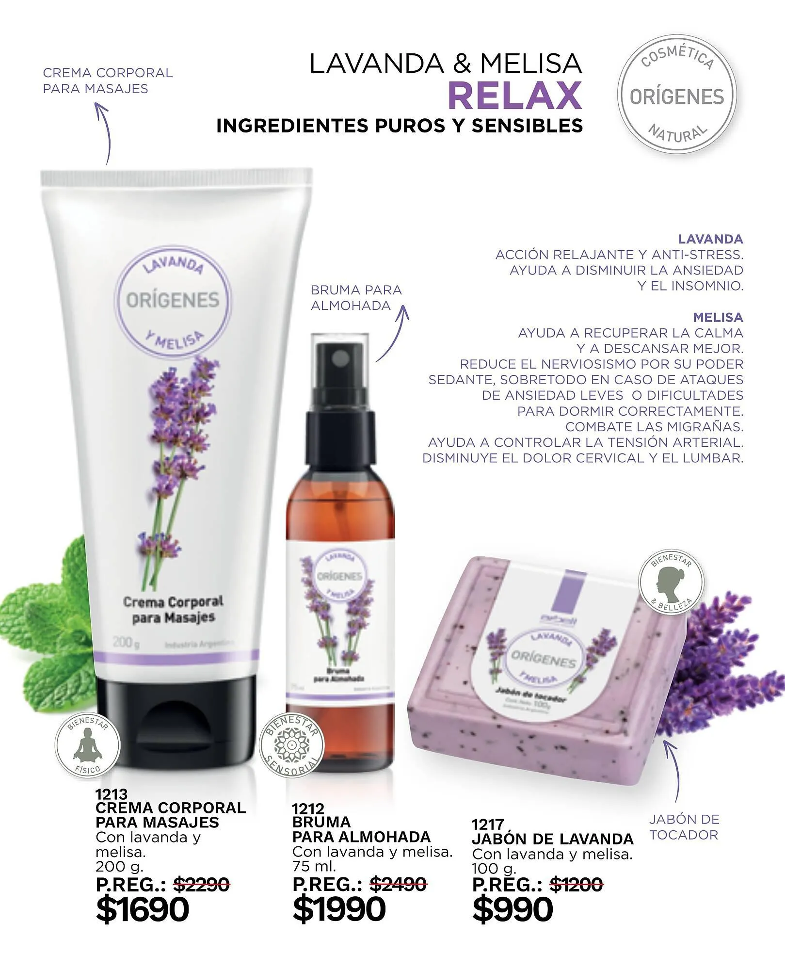 Ofertas de Catálogo Arbell 7 de julio al 7 de septiembre 2023 - Página 81 del catálogo