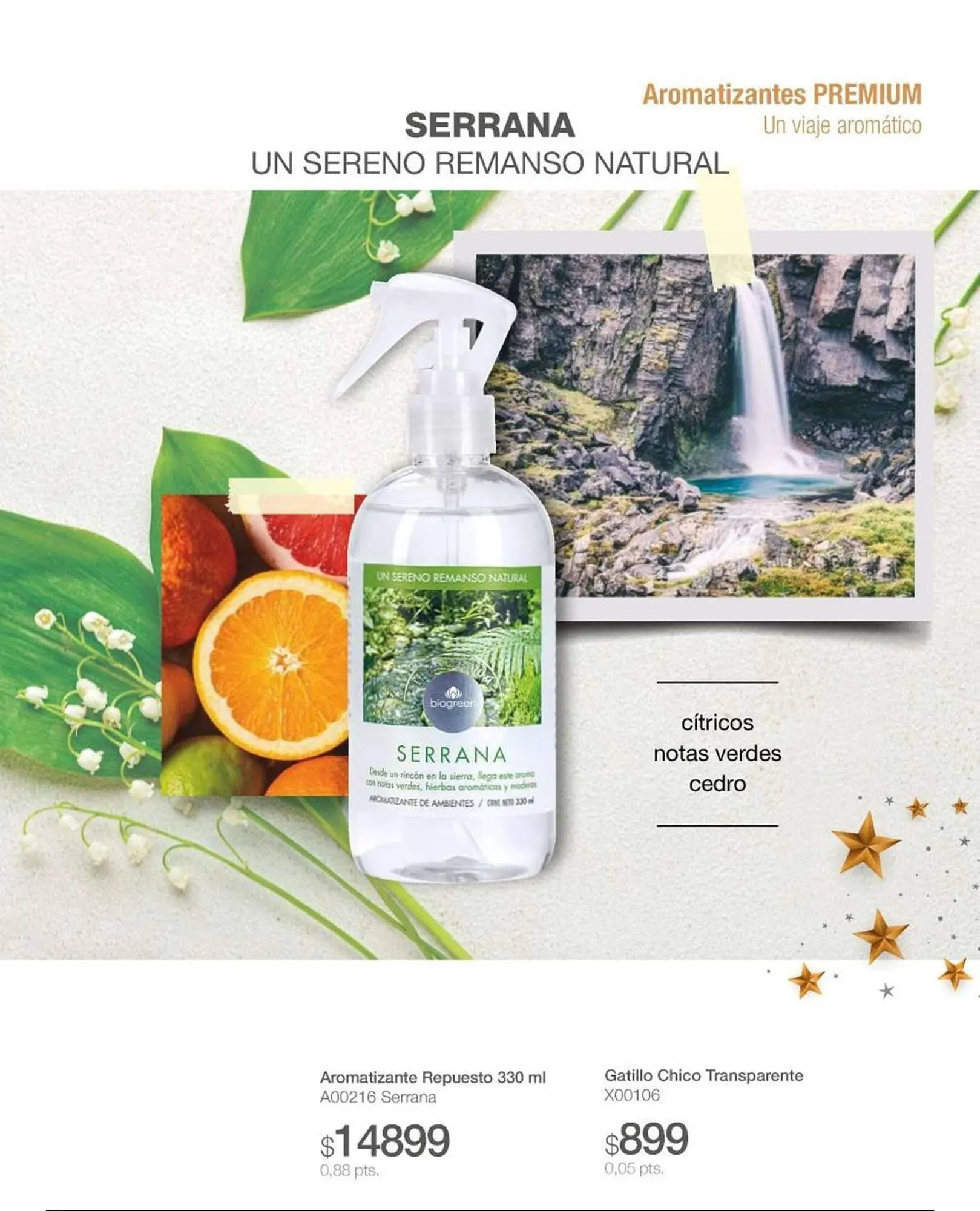 Ofertas de Catálogo Biogreen 30 de enero al 30 de abril 2026 - Página 46 del catálogo