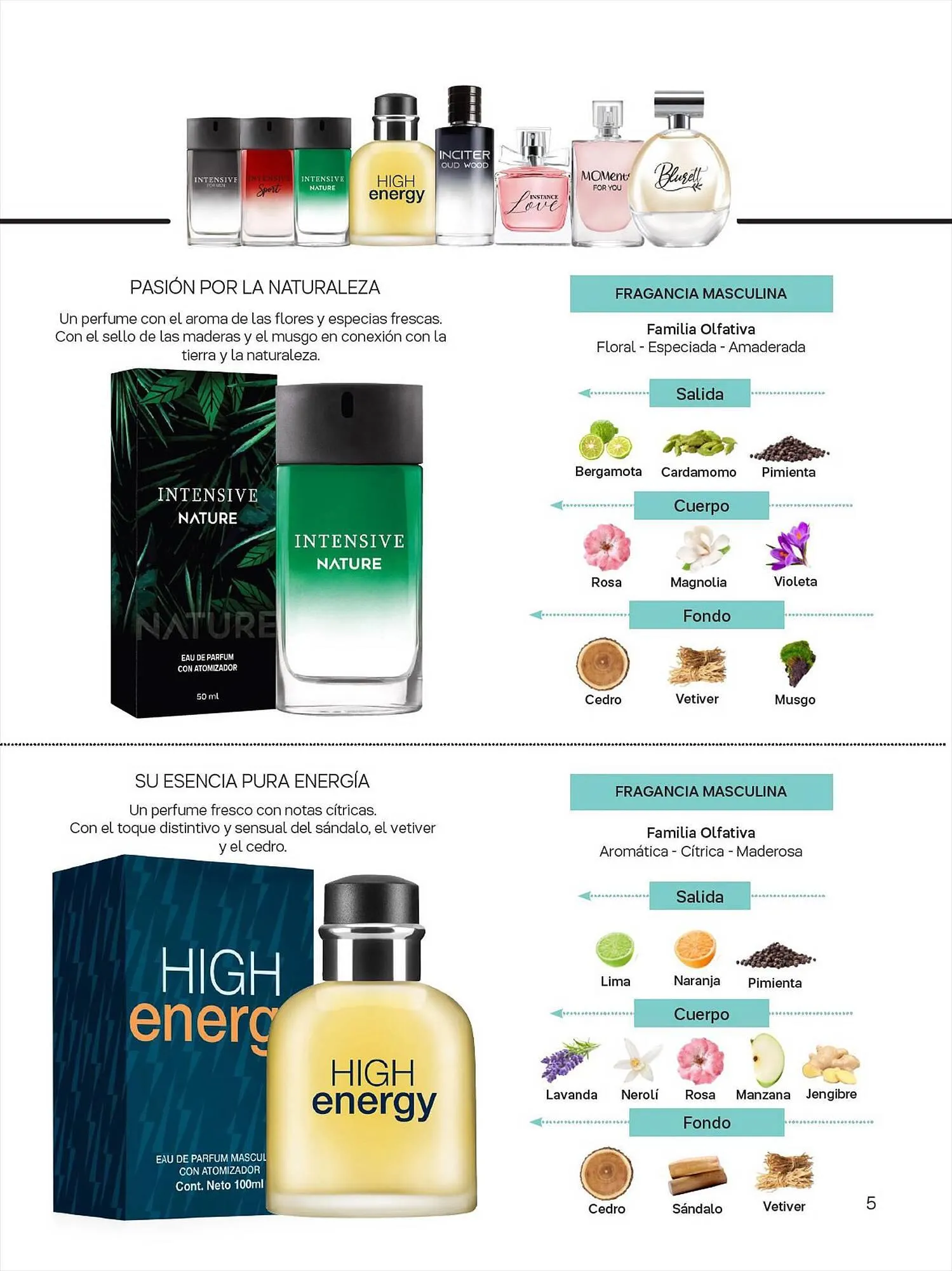 Ofertas de Catálogo Tupperware 4 de julio al 15 de agosto 2023 - Página 5 del catálogo