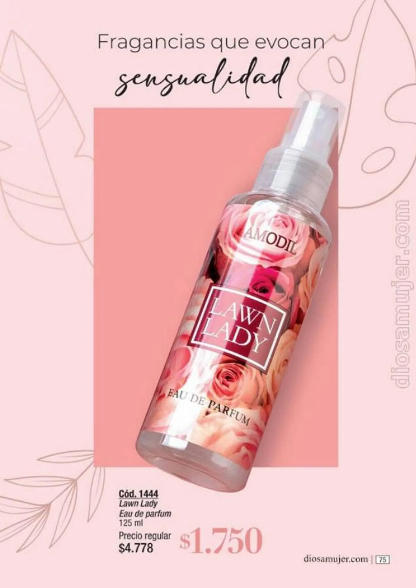 Ofertas de Catálogo Amodil 6 de septiembre al 10 de octubre 2023 - Página 75 del catálogo