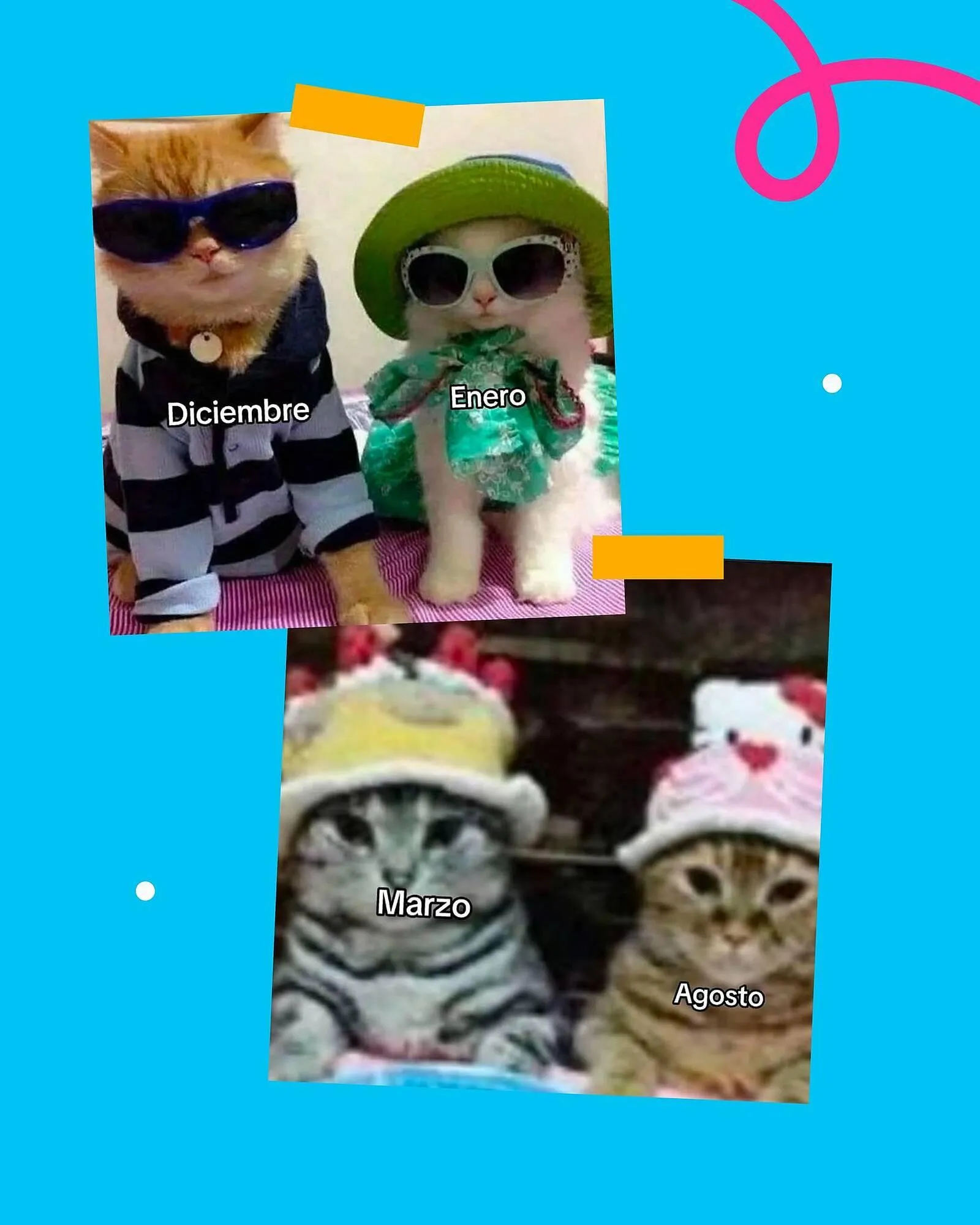 Ofertas de Catálogo Casper Pet Store 10 de abril al 30 de abril 2025 - Página 4 del catálogo