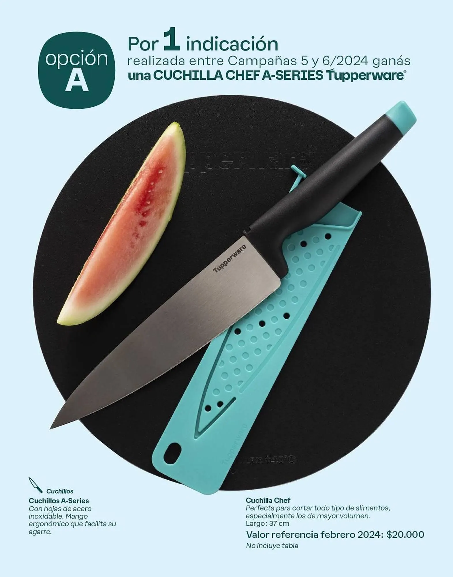 Ofertas de Catálogo Tupperware 12 de febrero al 1 de agosto 2024 - Página 2 del catálogo