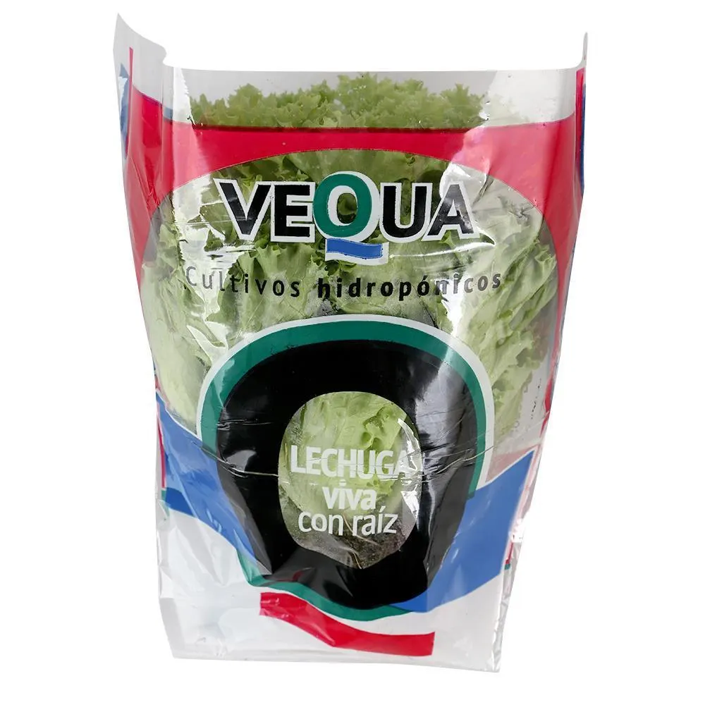 Lechuga Hidroponica Francesa VEQUA X Uni