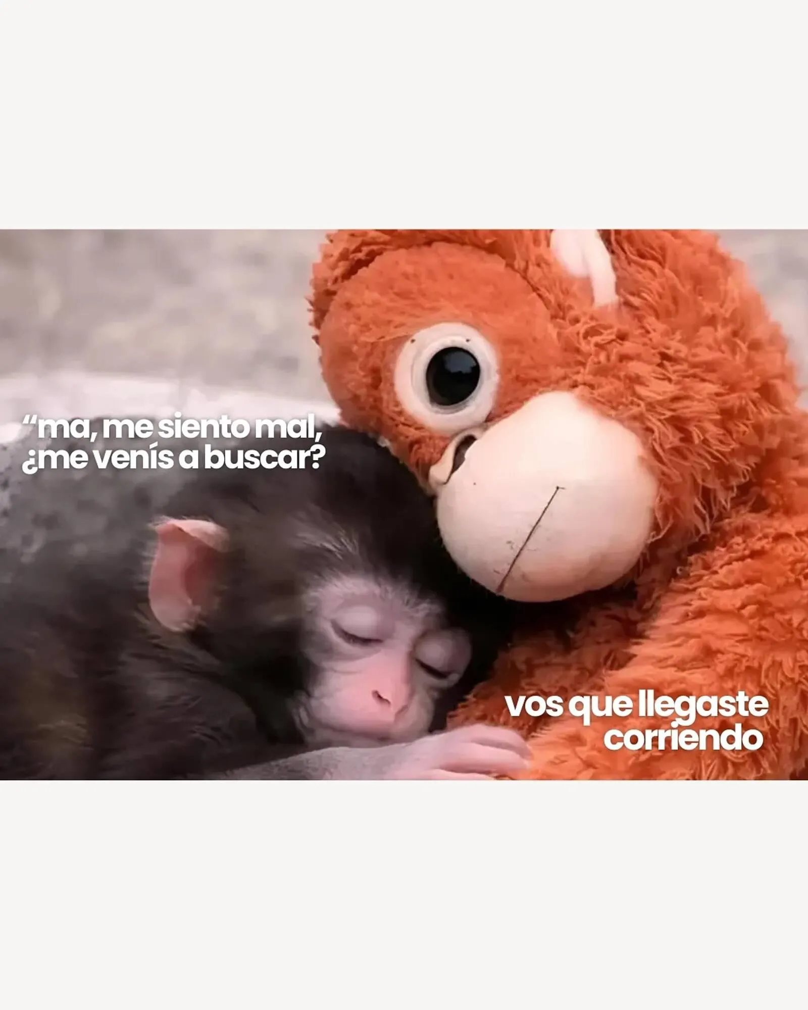 Ofertas de Catálogo Jugueterias Carrousel 3 de marzo al 10 de marzo 2026 - Página 5 del catálogo