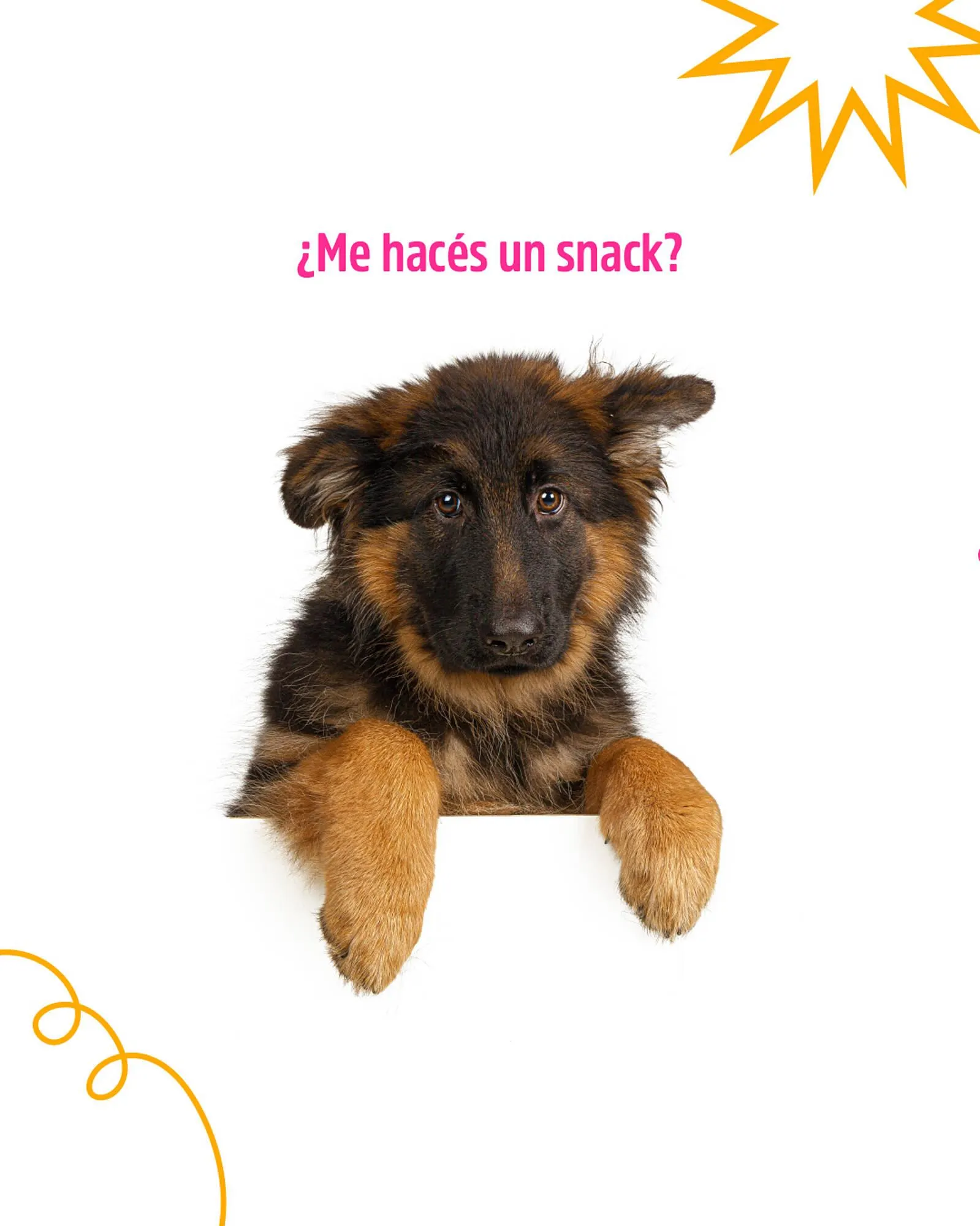 Catálogo Casper Pet Store - 1