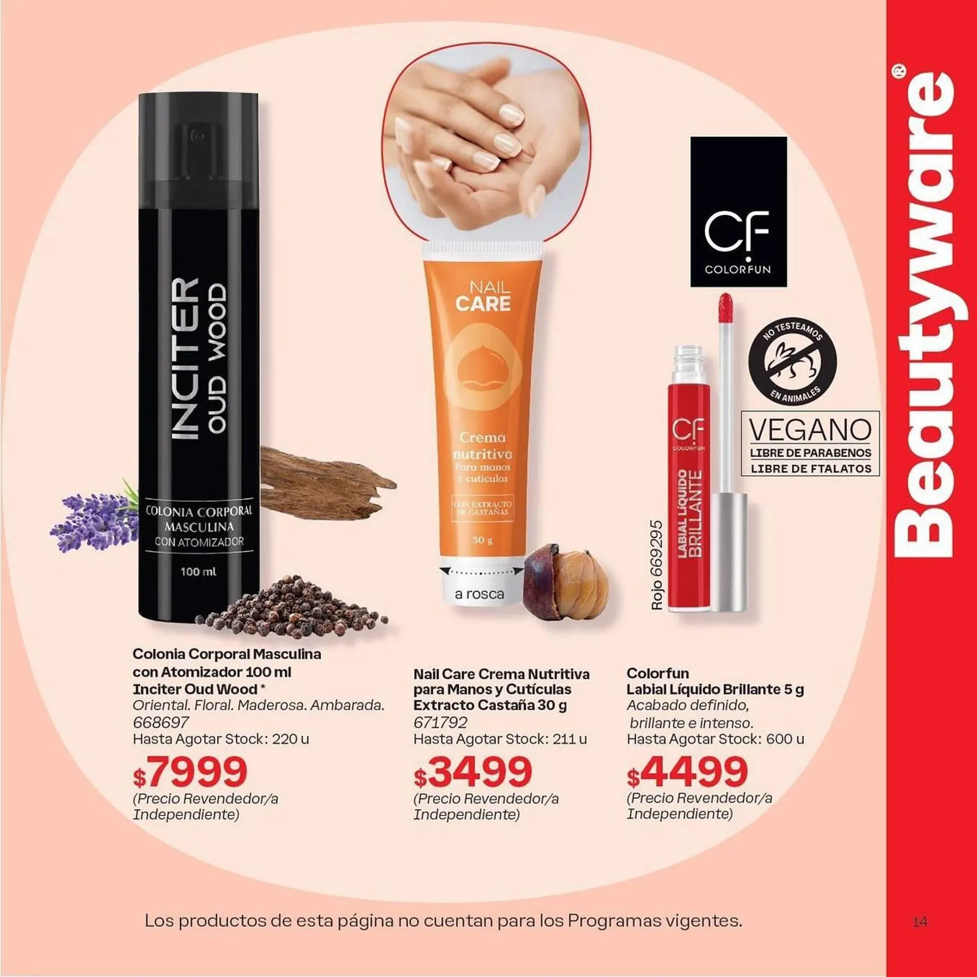 Ofertas de Catálogo Tupperware 28 de febrero al 31 de marzo 2025 - Página 14 del catálogo