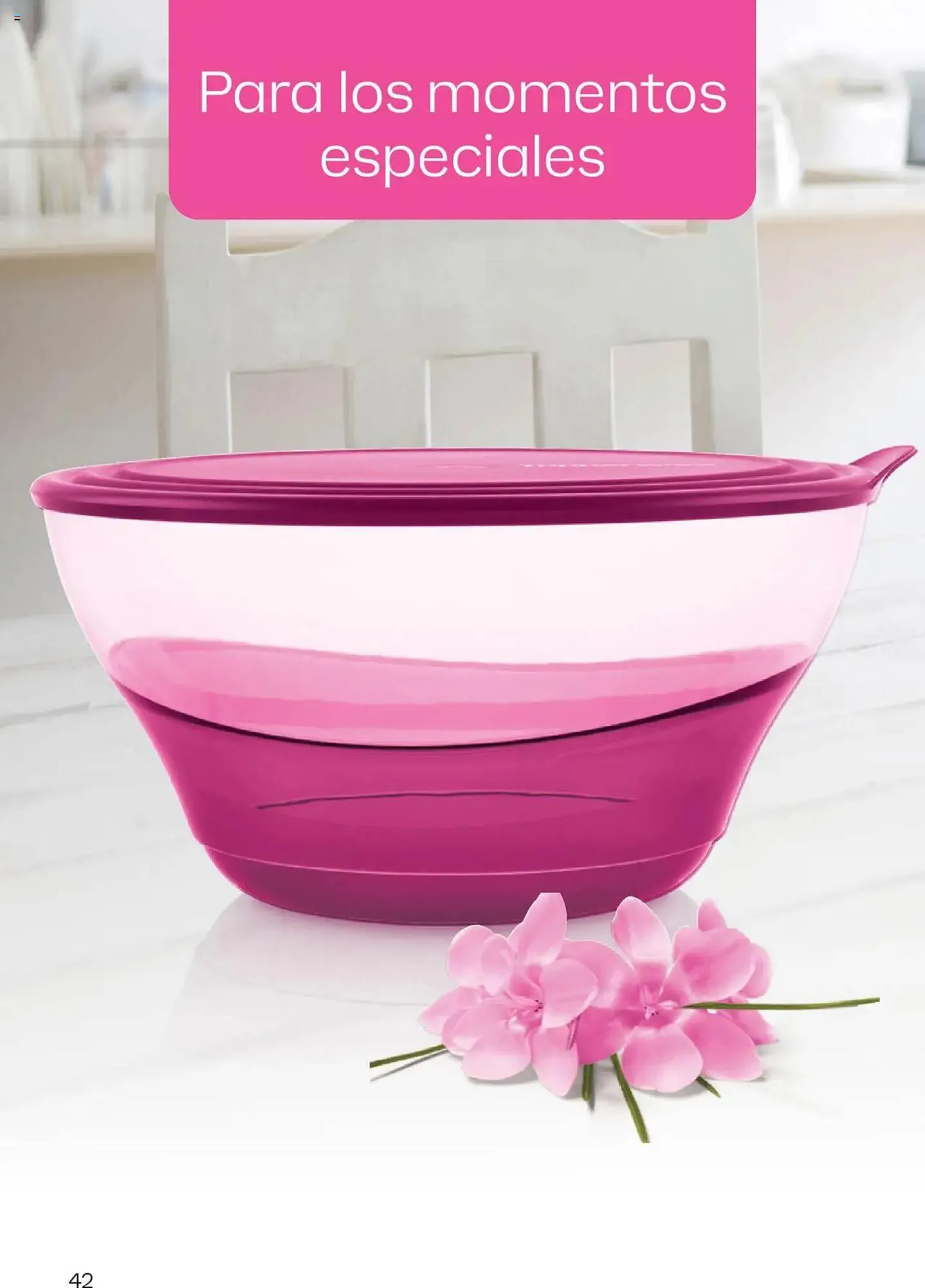 Ofertas de Catálogo Tupperware 23 de julio al 6 de agosto 2025 - Página 43 del catálogo