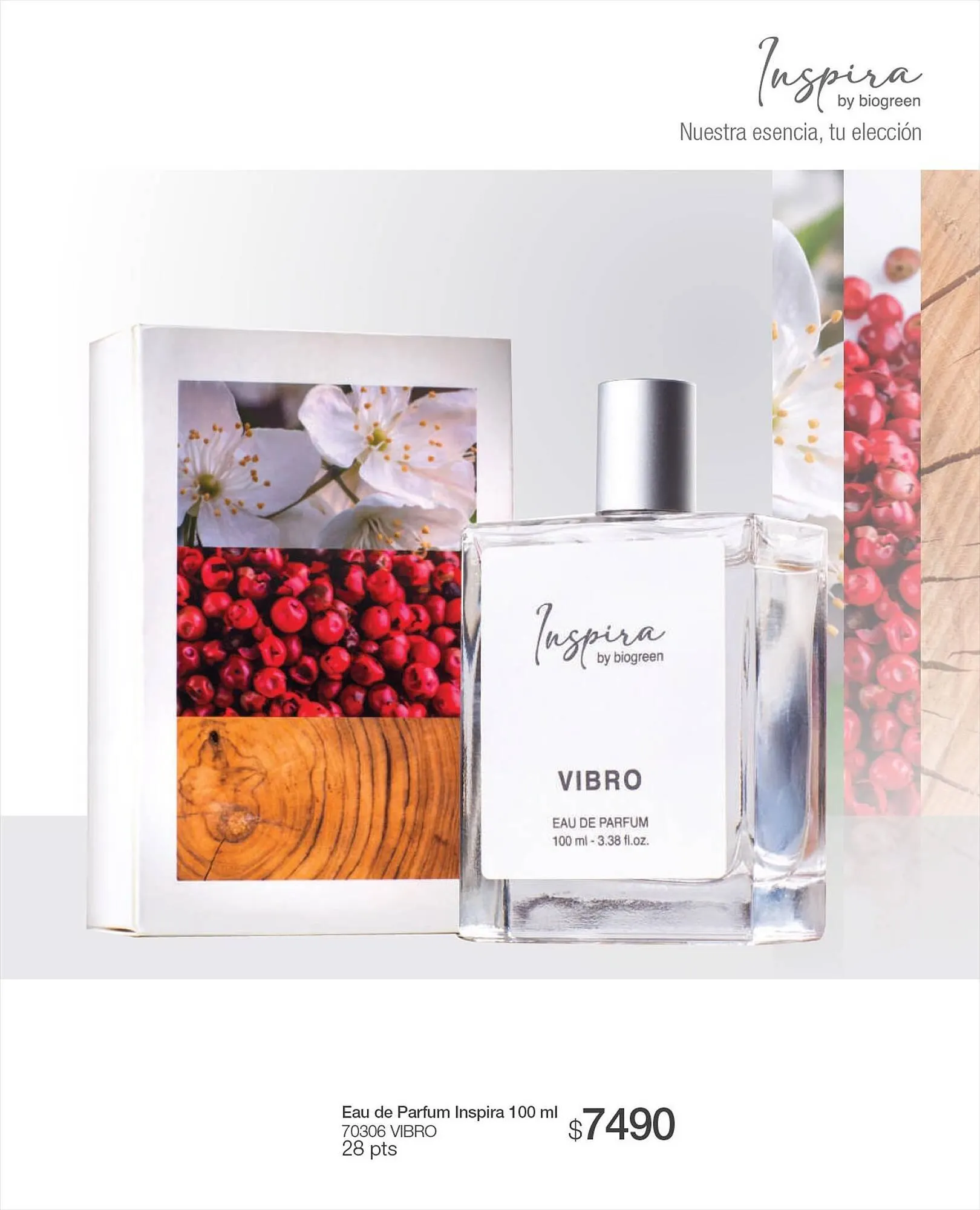 Ofertas de Catálogo Biogreen 27 de julio al 30 de julio 2023 - Página 101 del catálogo